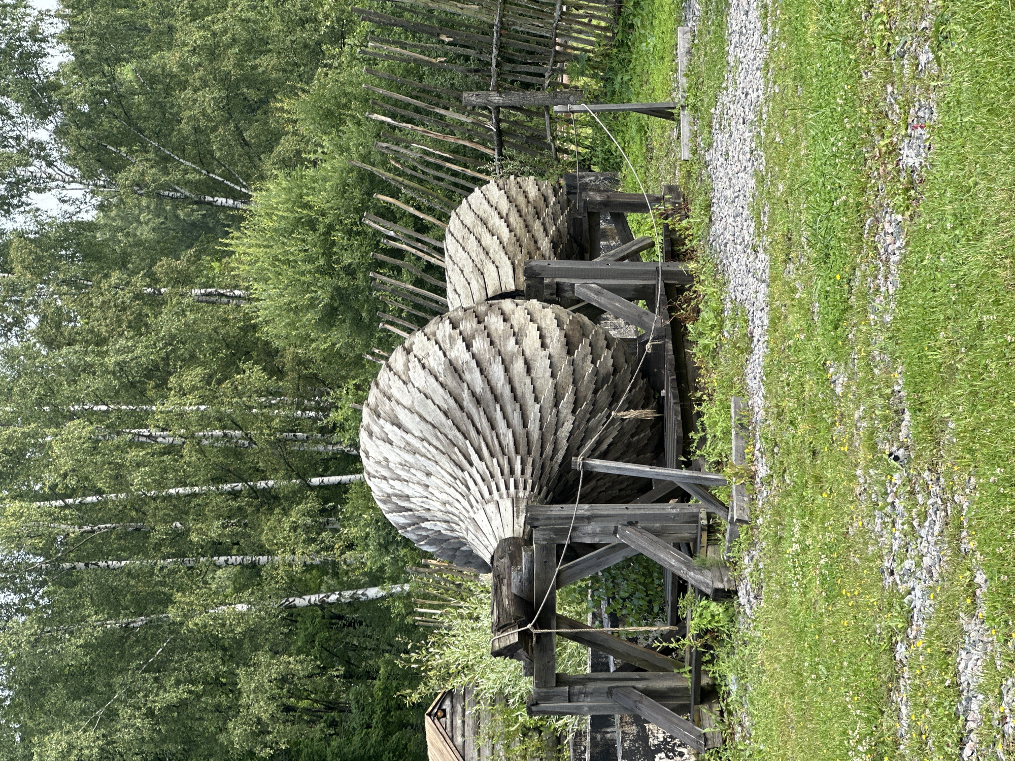 In Nevskii Parkleskhoz, Russia, two large, unfinished wooden structures resembling giant pinecones rest on wooden supports. These structures are constructed from overlapping wooden planks, giving them a scaled appearance. They are situated outdoors in a grassy area with scattered gravel and surrounded by a wooden fence. Behind the structures, a dense forest of birch trees with distinctive white bark and green foliage forms the backdrop. To the left, a small wooden building with a brown roof is partially visible amongst the greenery. The scene appears to be an outdoor exhibit or a construction site.