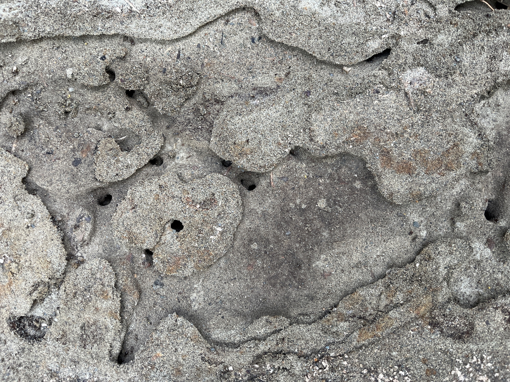 A close-up, overhead shot captures the textured surface of what appears to be weathered concrete or rock, possibly with sand deposits, located in Koo, Russia. The surface exhibits irregular shapes and cavities, some of which are small, dark holes. The dominant colors are shades of gray and tan, with scattered darker flecks and grainy textures throughout. The lighting is even, casting no significant shadows, suggesting an overcast day or diffuse light source. No people or animals are visible in the image.