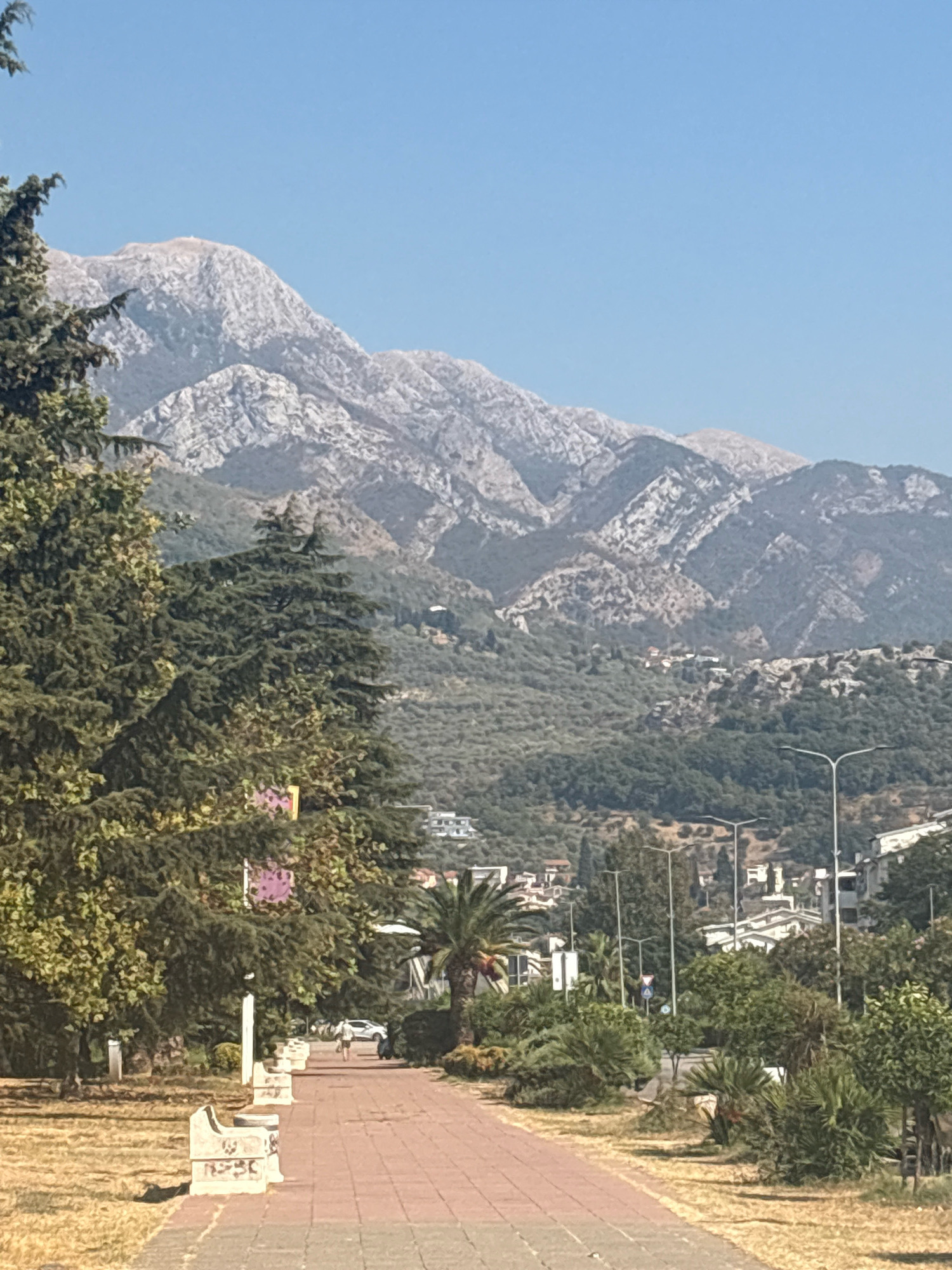 The image shows a sunny day in Bar, Montenegro, with a clear blue sky. In the foreground, a red brick pathway curves to the right, lined with grass and trees. Several concrete benches are visible along the left side of the pathway. A person is walking away from the camera on the pathway, near a parked car. In the middle ground, there are palm trees and other greenery, with buildings and streetlights visible further back. The background is dominated by a range of rocky, barren mountains.