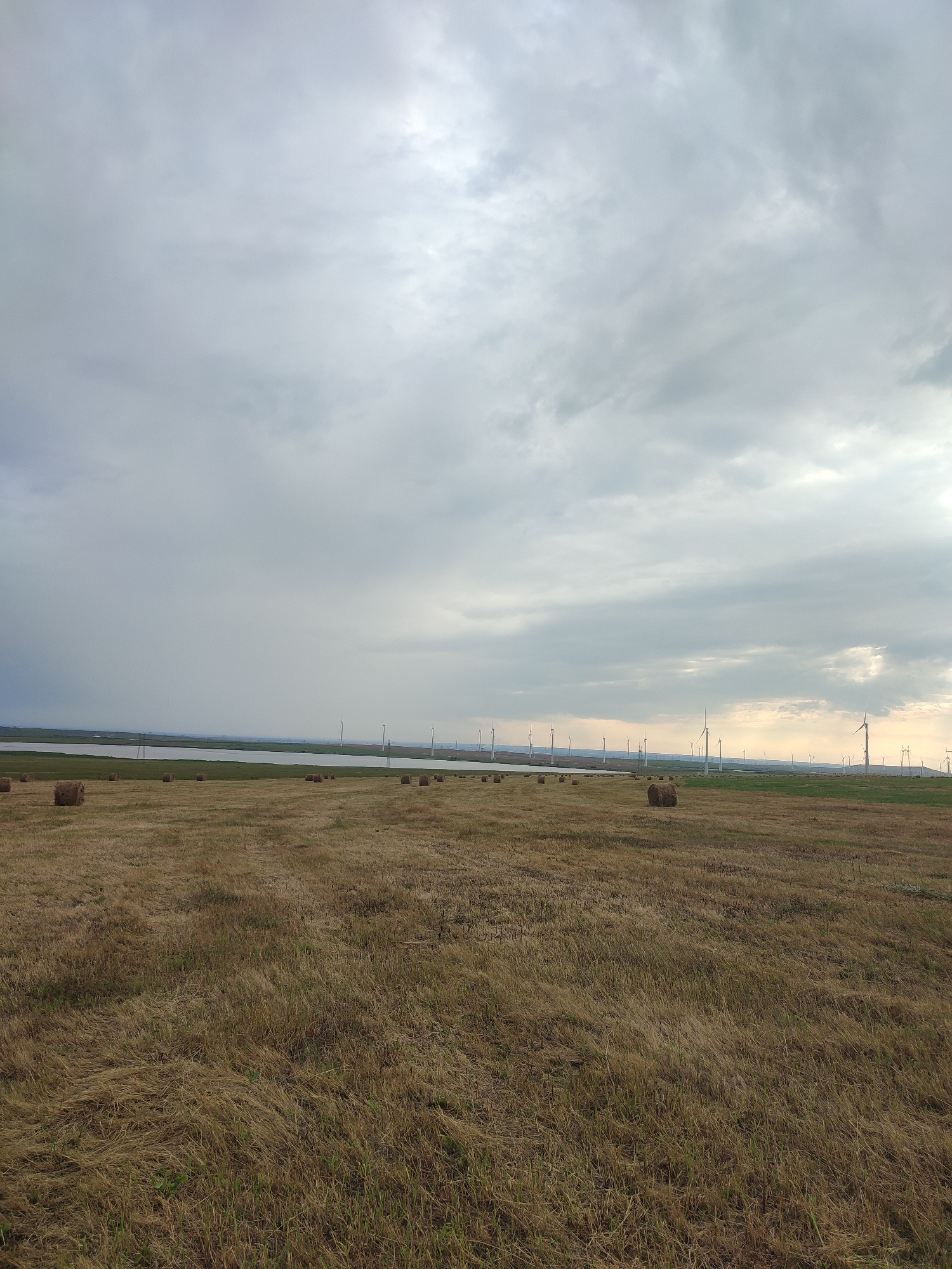 This is a landscape photograph taken in Starodvortsovskiy, Russia. The scene depicts a vast, dry hayfield dotted with numerous round hay bales, some appearing more weathered than others. Beyond the field, a body of water stretches across the horizon, its surface reflecting the overcast sky. In the distance, a sprawling wind farm is visible, with many wind turbines dotting the landscape. The sky is filled with heavy, gray clouds, suggesting a possibility of rain or a recent downpour, particularly on the left side of the image where darker, more intense cloud formations can be seen. The lighting is diffused, typical of an overcast day, and the time of day appears to be late afternoon or early evening, given the soft light. The overall mood is serene and perhaps a bit melancholic due to the gray skies and the starkness of the harvested field. There is no visible text in the image.