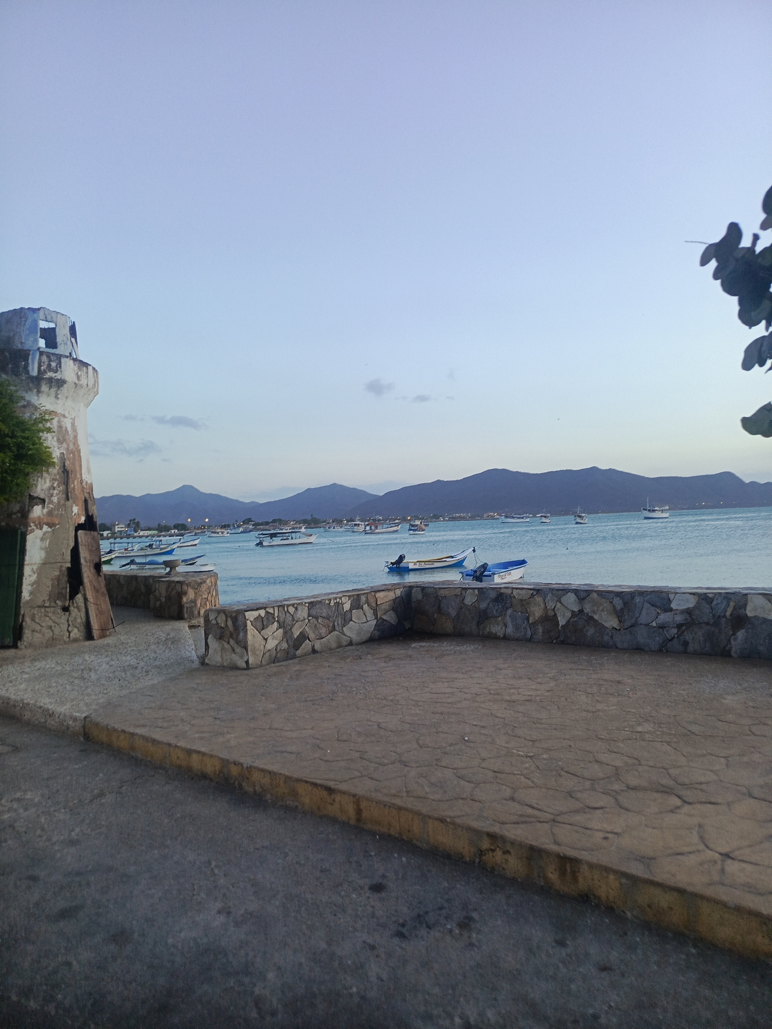 The image depicts a coastal scene in Juan Griego, Venezuela. A partially ruined stone tower stands on the left, with vegetation growing on it. To the right of the tower, a stone wall overlooks the sea, where numerous boats are visible. In the background, mountains are seen under a pale sky. A paved area extends from the base of the tower towards the foreground, where an asphalt road is visible. A tree branch appears in the upper right corner of the frame. The overall lighting suggests either dawn or dusk.