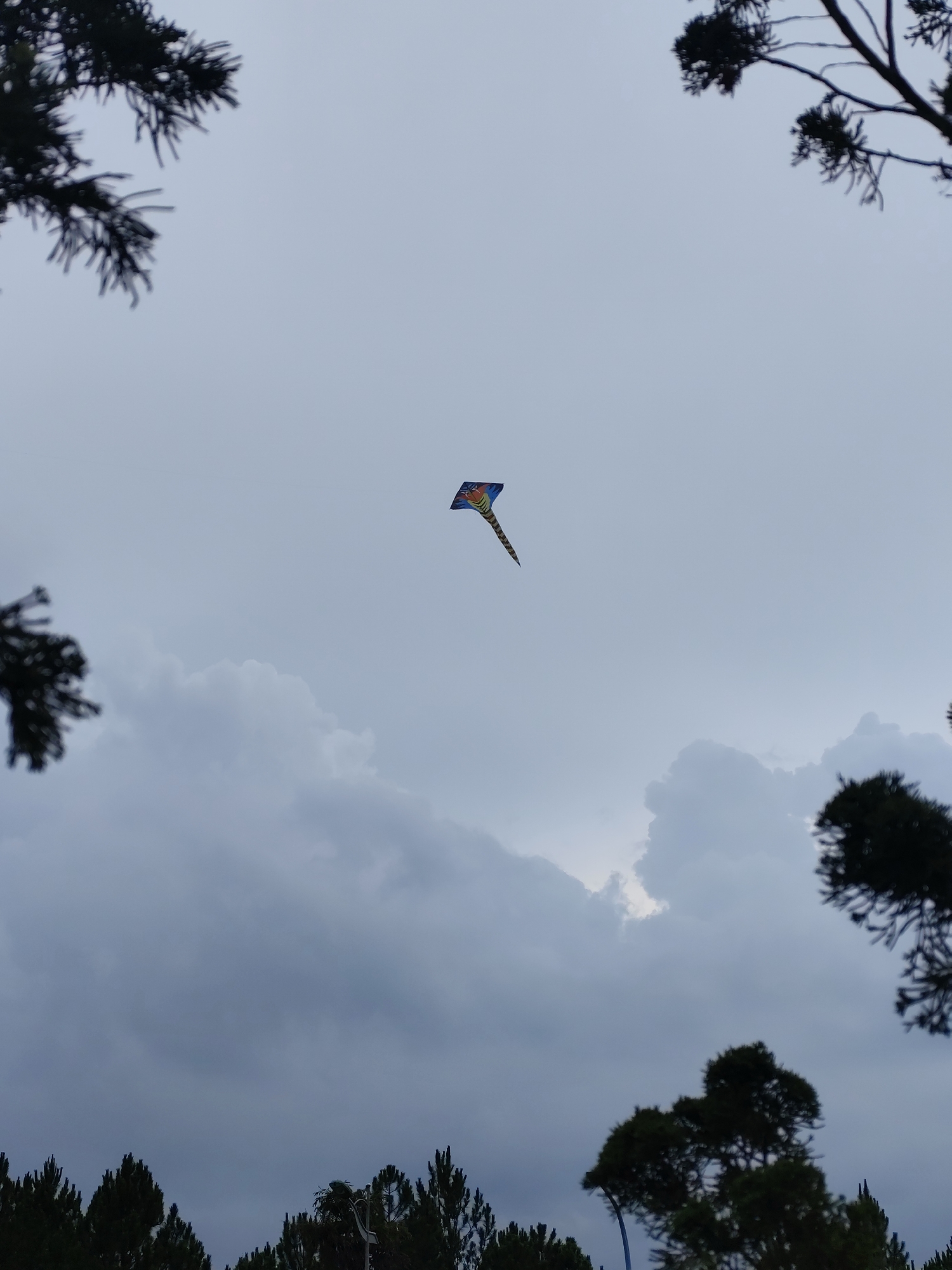 A kite flies in a cloudy sky in what appears to be Lang Biang-Da Lat, Vietnam. The kite is blue, yellow, and black. The sky is overcast with dark clouds and some lighter patches. Silhouetted evergreen trees surround the bottom and top edges of the frame.