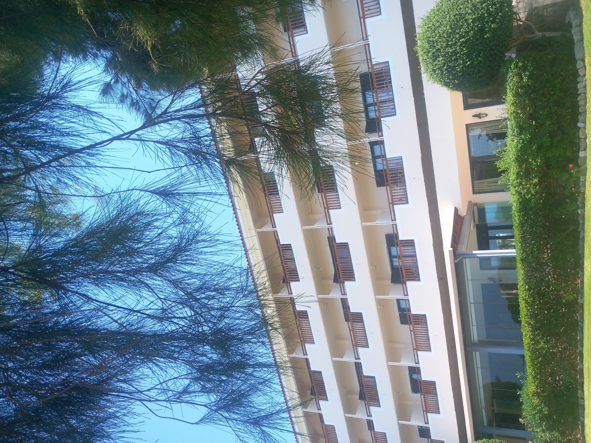 A hotel building is seen from below, with the branches of a pine tree obscuring the top of the image and the blue sky. The hotel is a multi-story structure with balconies on each floor. The balconies have wooden railings and some have chairs visible on them. The lower level of the hotel features large glass windows. In front of the hotel, there is a neatly trimmed green hedge and a patch of green grass. To the right of the hedge, a round, manicured bush or small tree stands next to a stone wall. The overall scene suggests a sunny day at a resort or hotel, likely in a warm climate.