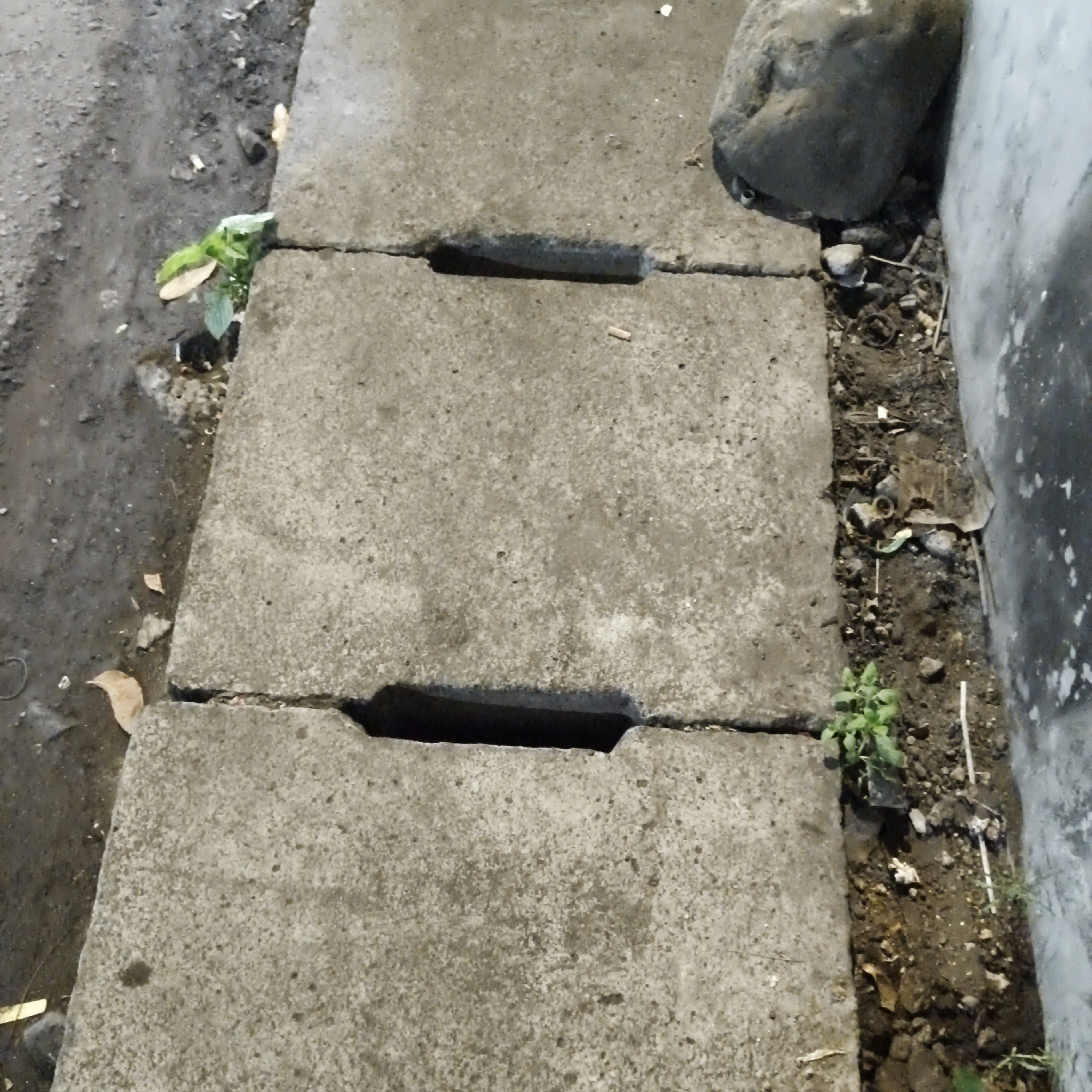 The image depicts a concrete drainage system with three rectangular grates visible on the surface. The drainage is situated alongside a rough, possibly unpaved, roadside area. To the left of the drainage, there is a section of what appears to be a road surface, characterized by dirt and debris. Small green plants are growing in the gaps between the concrete slabs and along the edge of the drainage. A large grey rock is positioned at the top right of the image, next to a section of a grey wall, suggesting an urban or semi-urban environment. The overall scene suggests an outdoor setting in South Jakarta, Indonesia, likely a functional but somewhat neglected area.