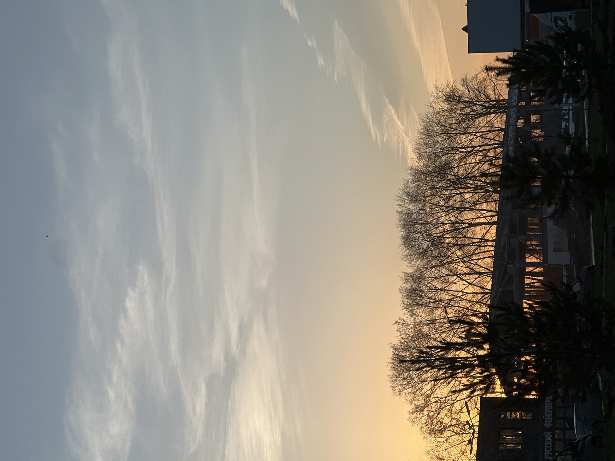 The image shows a sunset over the city of Chaikovsky, Russia. The sky transitions from a pale blue with wispy clouds on the left to a warm orange-yellow on the right. Silhouetted trees line the horizon, with some buildings visible behind them. In the foreground, darker evergreens frame the scene. The branches of the trees are bare, suggesting it is likely autumn or winter.