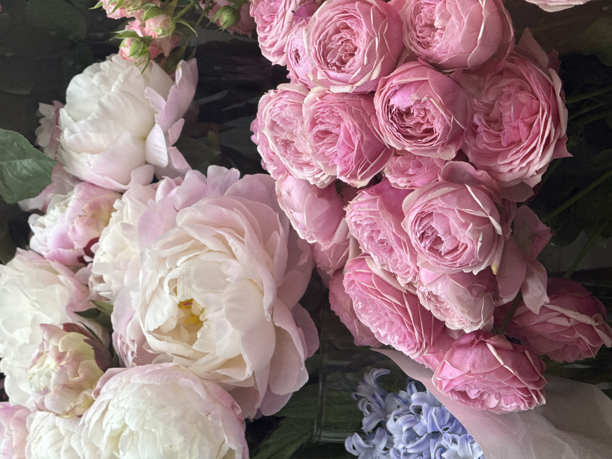 The image displays a close-up view of a floral arrangement featuring a variety of pink and white peonies and roses. The flowers are densely packed, with some buds visible. In the background, a small cluster of blue hyacinths can be seen. The lighting is soft, highlighting the delicate textures of the petals. No people, actions, or interactions are depicted in this still life image. There is no indication of its location in Sunzha, Russia, or any other specific city.