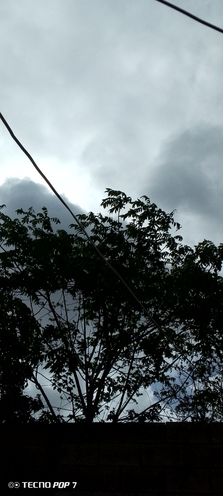 The image depicts a cloudy sky with a tree silhouette in the foreground. A power line is visible diagonally across the image. The bottom of the image shows a dark, textured surface, possibly a wall, with a watermark at the bottom left reading "TECNO POP 7". The scene appears to be an outdoor setting, likely during the day due to the visible sky, though the cloud cover suggests overcast or stormy conditions. The city of Altagracia, Venezuela, is mentioned, but there are no specific landmarks or indicators in the image to confirm this location. No people or animals are present.