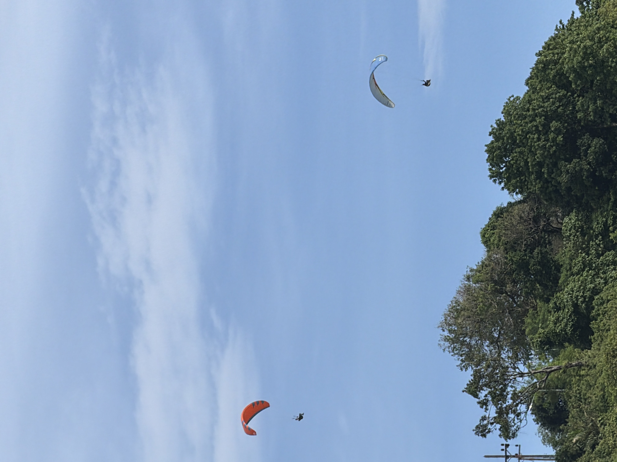 Two paragliders are soaring through a clear blue sky with scattered white clouds over a dense, green treeline. In the foreground, the tops of various trees are visible, with a utility pole on the left. The paraglider on the left has an orange and black wing, while the paraglider on the right has a white and blue wing. Both paragliders are suspended in the air, with their pilots seated in harnesses. The scene is likely captured during daylight, suggesting a recreational activity taking place in an outdoor environment. This activity is common in areas with good wind conditions and scenic views, such as the coastal regions of Rawai, Thailand.