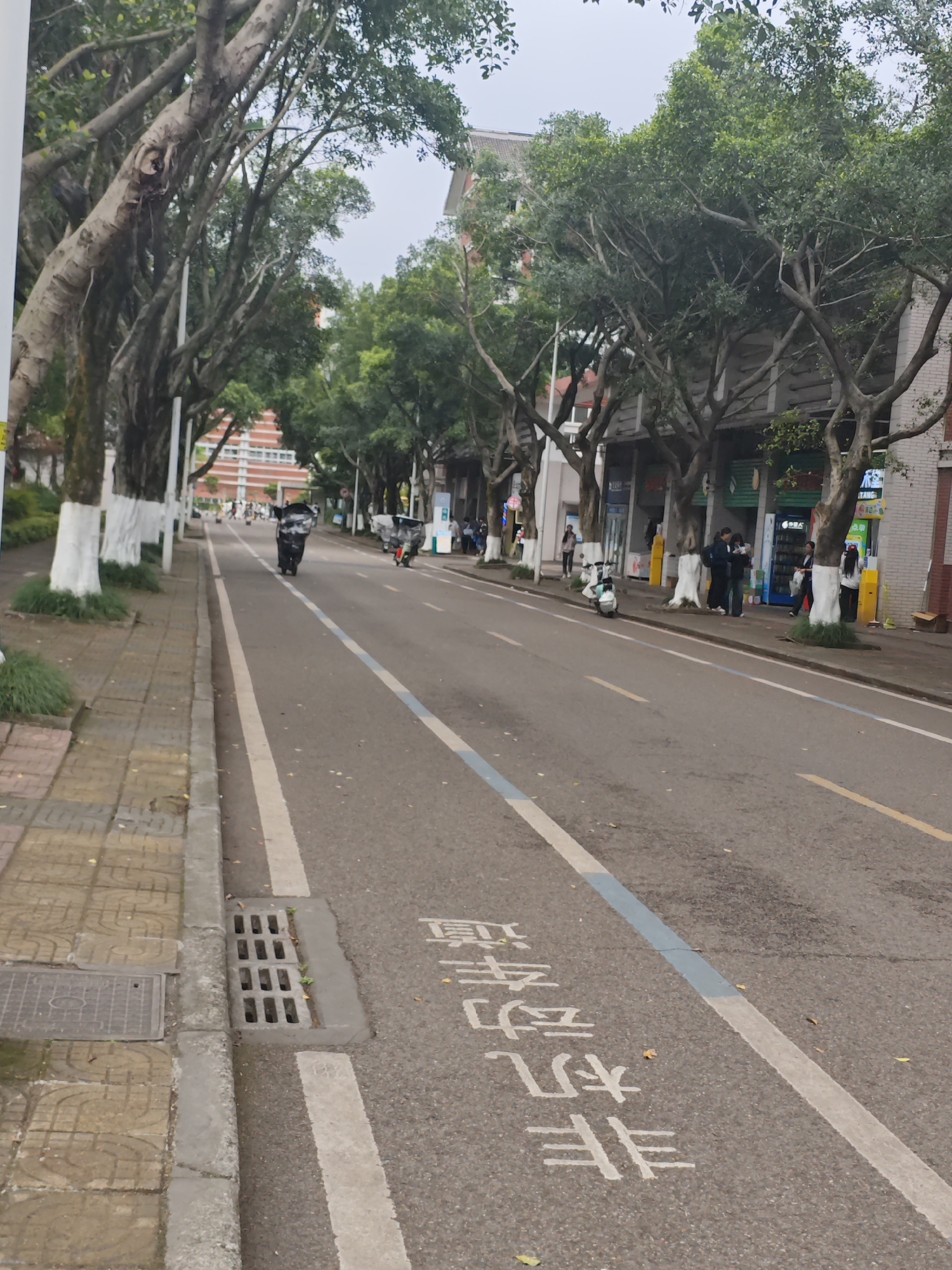 The image shows a street scene in Chongqing High-tech Zone, China. The street is lined with trees with whitewashed trunks on both sides. A sidewalk made of patterned, light-colored stones runs along the left edge of the image, beside which is a drainage grate. The road has lanes delineated by white lines and a blue stripe, with Chinese characters painted on the road surface. A motorcycle travels down the street. Pedestrians are visible on the right side of the street, some gathered near storefronts. Another motorcycle is parked along the curb. Buildings are visible behind the trees, including a taller structure in the distance and shorter buildings alongside the right side of the street. The sky is overcast.