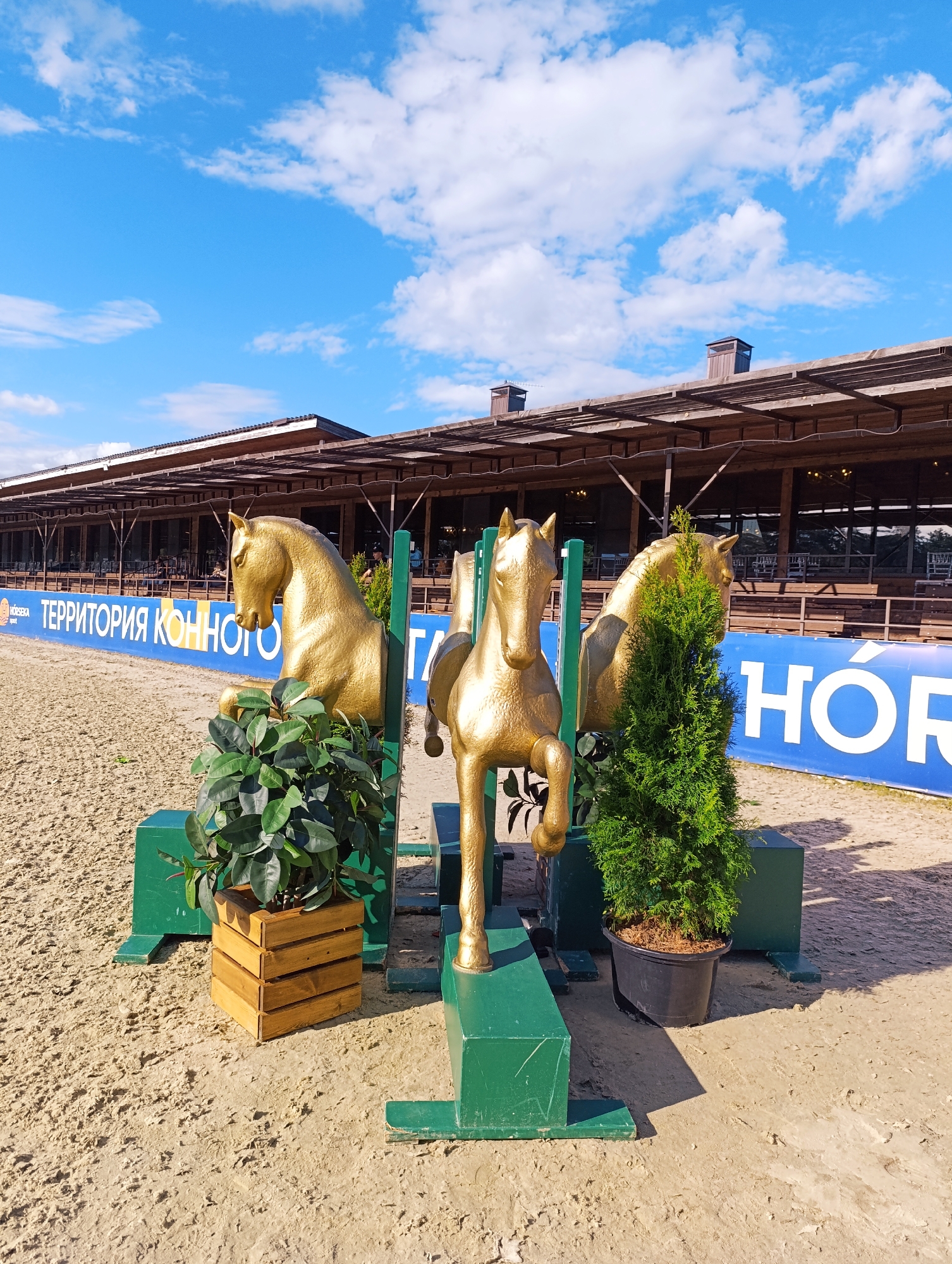 The image depicts an outdoor equestrian facility in the city of Ivanovskoe, Russia. In the foreground, three gold horse sculptures are displayed. The sculpture on the left is a full horse, while the middle and right sculptures are horse heads. Green decorative elements, including planters with foliage and a small conifer tree, frame the horse sculptures. The ground is covered in sand, characteristic of an equestrian arena. In the background, a long, wooden grandstand with a roof is visible. A blue banner with white lettering is stretched across the front of the grandstand. The sky above is blue with scattered white clouds, suggesting fair weather. The overall scene captures an outdoor event or decorated area at an equestrian center.