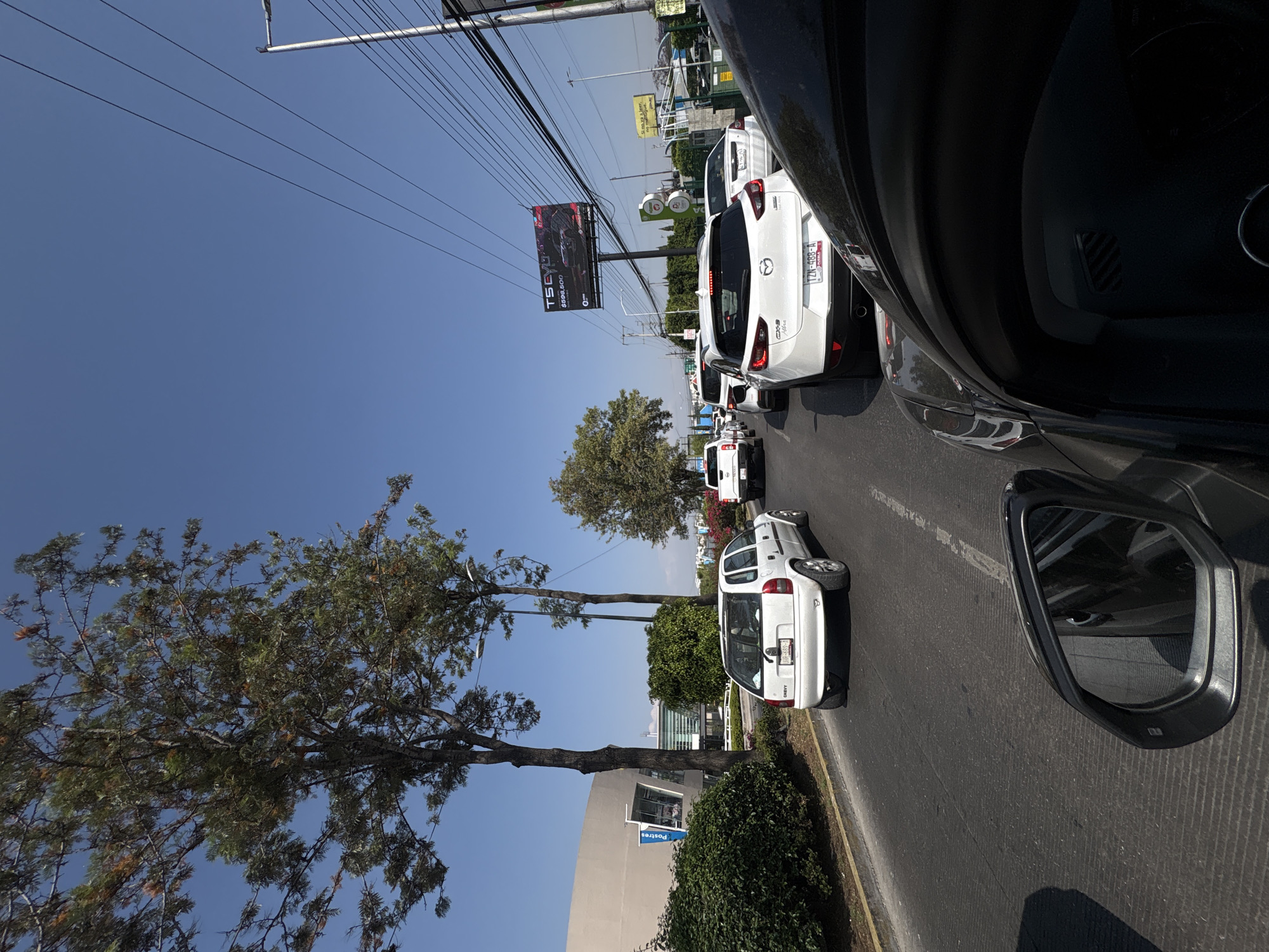 This image depicts a bright, sunny daytime street scene in Puebla, Mexico, captured from inside a vehicle navigating through traffic. A clear blue sky dominates the upper portion of the frame, crisscrossed by numerous utility lines strung between poles.
In the mid-ground, a queue of cars suggests traffic congestion. Directly ahead is a white Mazda SUV, prominently displaying its rear license plate "VZ4-488-L" from PUEBLA. Further down the road, another white Chevrolet vehicle, identifiable by its "CHEVY" badge and license plate "UHY-60-3" (also from PUEBLA), is visible.
To the left of the road, a large billboard catches the eye, featuring a vehicle and the stylized text "TSEVO" along with a price of "$599,500" and the word "SUV." The roadside is lined with mature trees, casting some shade. Partially visible behind the foliage is a building with a small blue sign indicating "Postres" (Desserts).
The foreground reveals the dark interior of the car from which the photograph was taken, including a section of the dashboard and a side mirror reflecting the asphalt and distant elements. The overall scene portrays a typical urban or suburban thoroughfare experiencing moderate vehicle flow under clear skies.