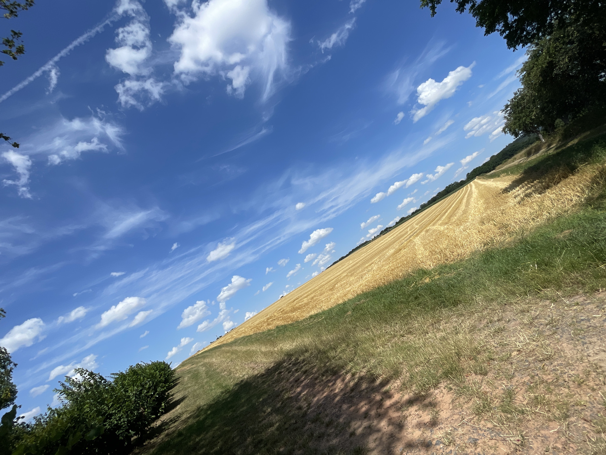 An image taken outdoors in Röllshausen, Germany, shows a tilted view of a harvested field under a bright blue sky with scattered white clouds and wispy cirrus formations. The field is divided, with the left side appearing as mown grass and the right side as stubble from a harvested crop, likely grain, with rows or tracks visible. Trees line the left edge of the field, casting shadows. More trees are visible in the distance along the horizon, and a few dark green trees are on the right side of the frame. The perspective is from ground level, looking upwards and diagonally across the landscape.