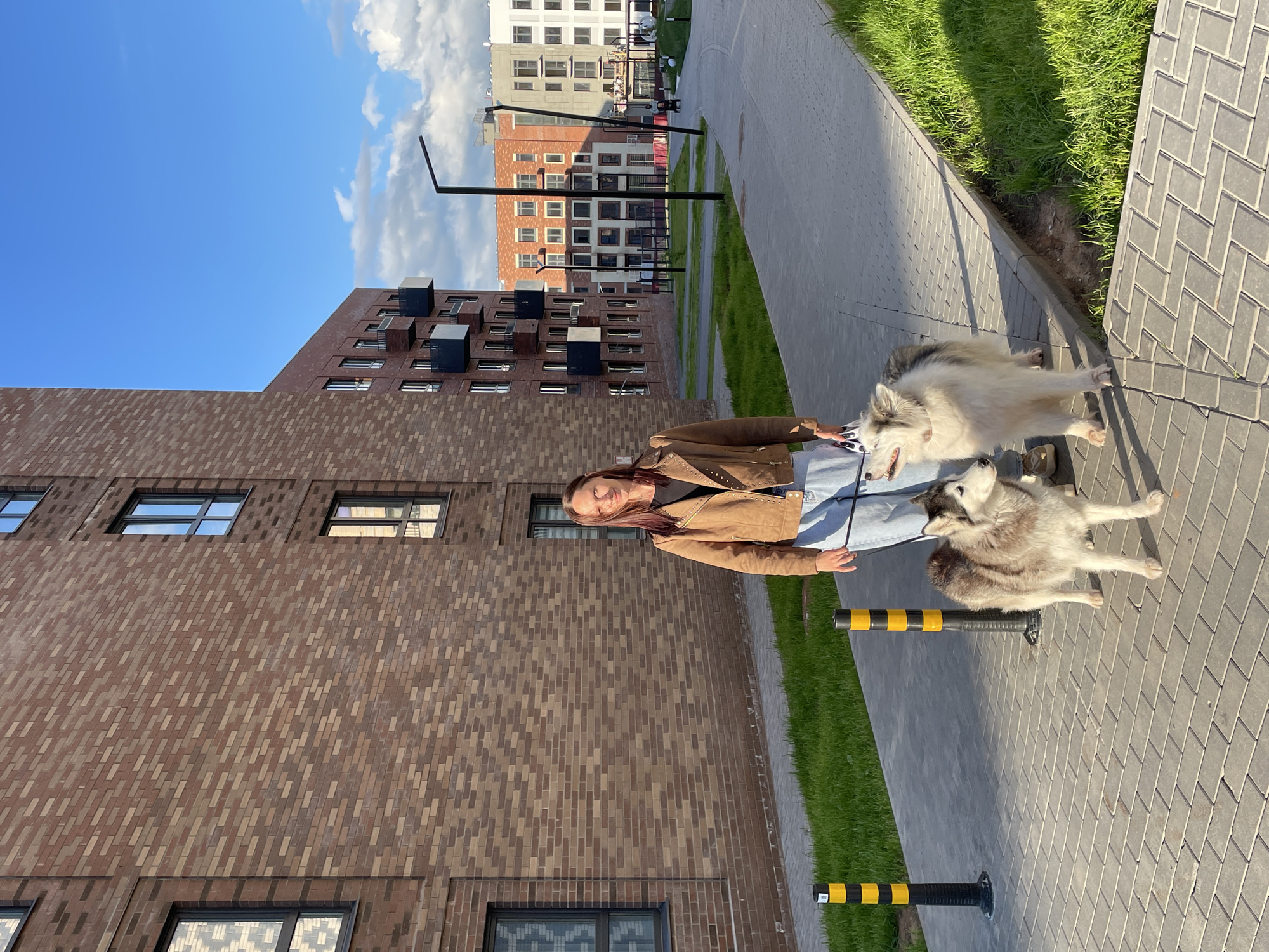 A woman is captured walking two husky-type dogs on leashes along a paved sidewalk in a modern urban setting, identified as Pervomaysky, Russia. The woman, with long, dark hair, wears a brown jacket over a light-colored top and light-wash jeans. She is holding leashes for two dogs; one is a lighter-colored husky (white/light grey), and the other is a darker-colored husky (grey/black/brown). Both dogs appear attentive, with one looking upwards and the other seemingly focused forward.
The scene takes place on a bright, sunny day, indicated by the clear blue sky with scattered white clouds and strong sunlight casting shadows. The sidewalk is made of grey pavers in a herringbone pattern, running alongside a strip of vibrant green grass and a curb. Several black and yellow striped bollards are visible along the sidewalk's edge.
In the background, distinctive modern architecture dominates. A large, multi-story building to the left features a unique brown brick facade with an intricate pattern and dark, cube-shaped projections. Other contemporary buildings, some lighter in color, are visible further in the distance, contributing to the impression of a newly developed or well-maintained area. The overall impression is one of a pleasant, casual walk in a contemporary residential or commercial district. No visible text can be discerned in the image.