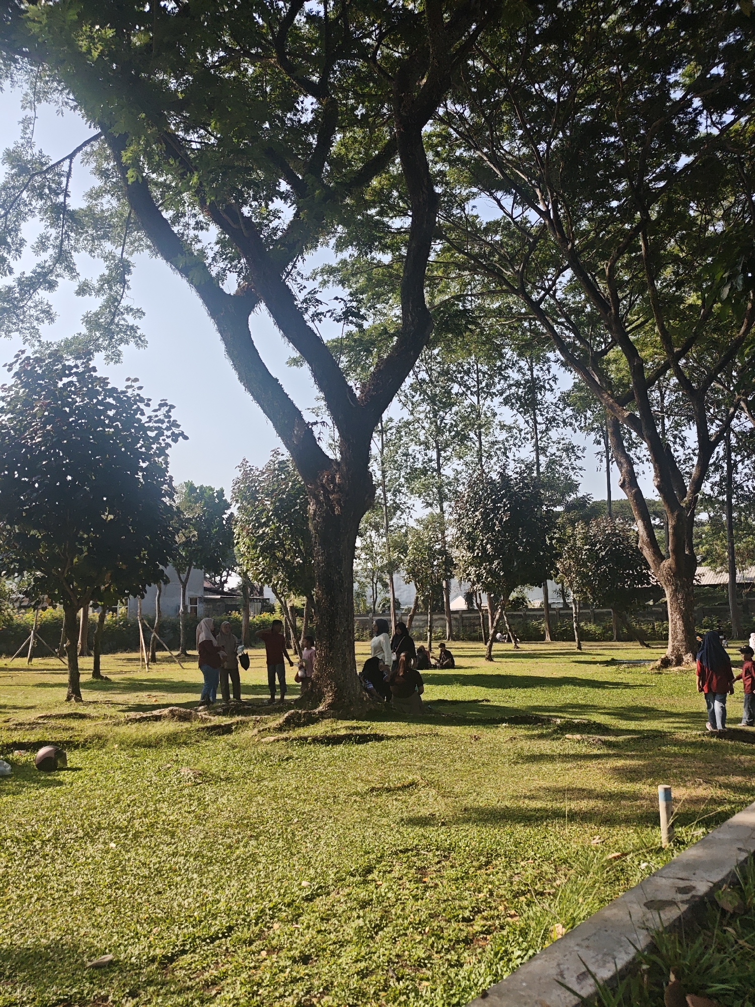 The image depicts a sunny daytime scene in a park in Bacin, Indonesia. A group of people are gathered under the shade of large trees, some sitting on the grass and others standing and talking. The park is characterized by lush green grass, scattered trees of varying sizes, and a clear blue sky. In the foreground, a concrete border runs along the edge of the park. Some individuals are dressed in casual attire, with a few women wearing hijabs. The overall atmosphere appears relaxed and communal.