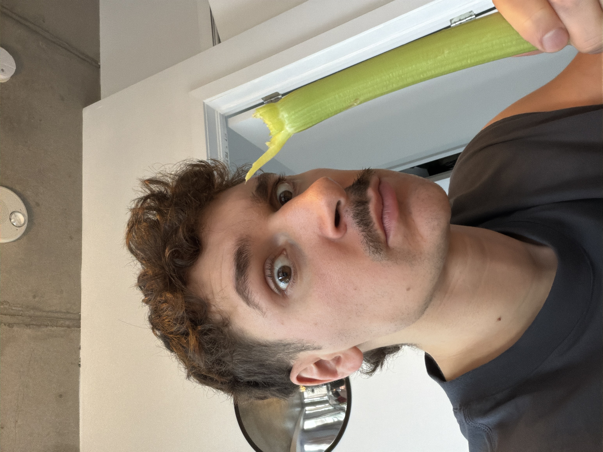 A close-up, tilted selfie shows a man with dark, curly hair and a mustache holding a stalk of celery to his face. The celery stalk is partially eaten. The background includes a white door frame and wall. In the lower-left corner, a wall and smoke detector are visible. The specific location in Montreal, Canada, cannot be determined from the provided image.