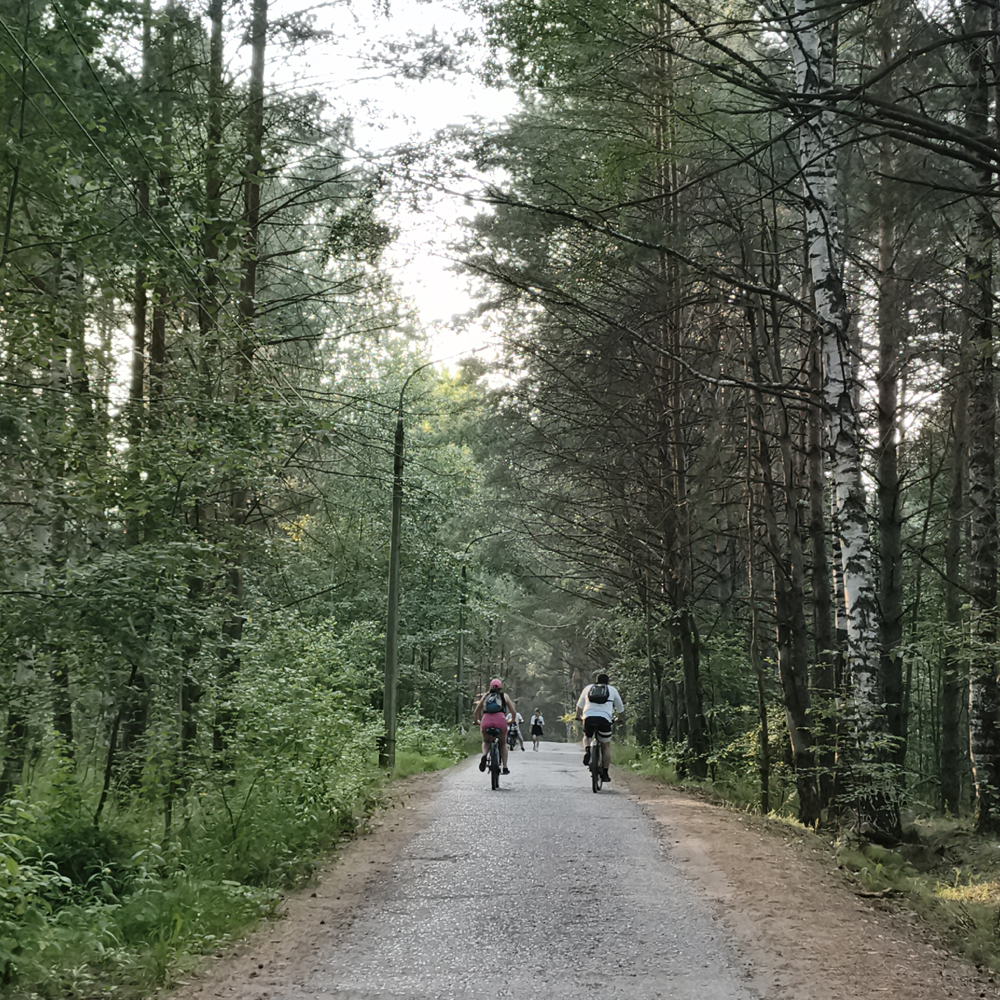 In Chaikovsky, Russia, a paved forest path stretches through a dense forest. Sunlight filters through the tall trees, creating a dappled effect on the path. Several individuals are seen cycling on the path. In the foreground, two cyclists are riding away from the camera. The cyclist on the left wears a pink cap and shorts, while the cyclist on the right wears a white t-shirt and black shorts. Further up the path, other cyclists are visible, along with a lone figure walking. The trees on either side of the path are a mix of deciduous and coniferous, with lush green foliage. A lamppost stands on the left side of the path, closer to the foreground. The overall scene depicts a serene outdoor activity in a natural setting.