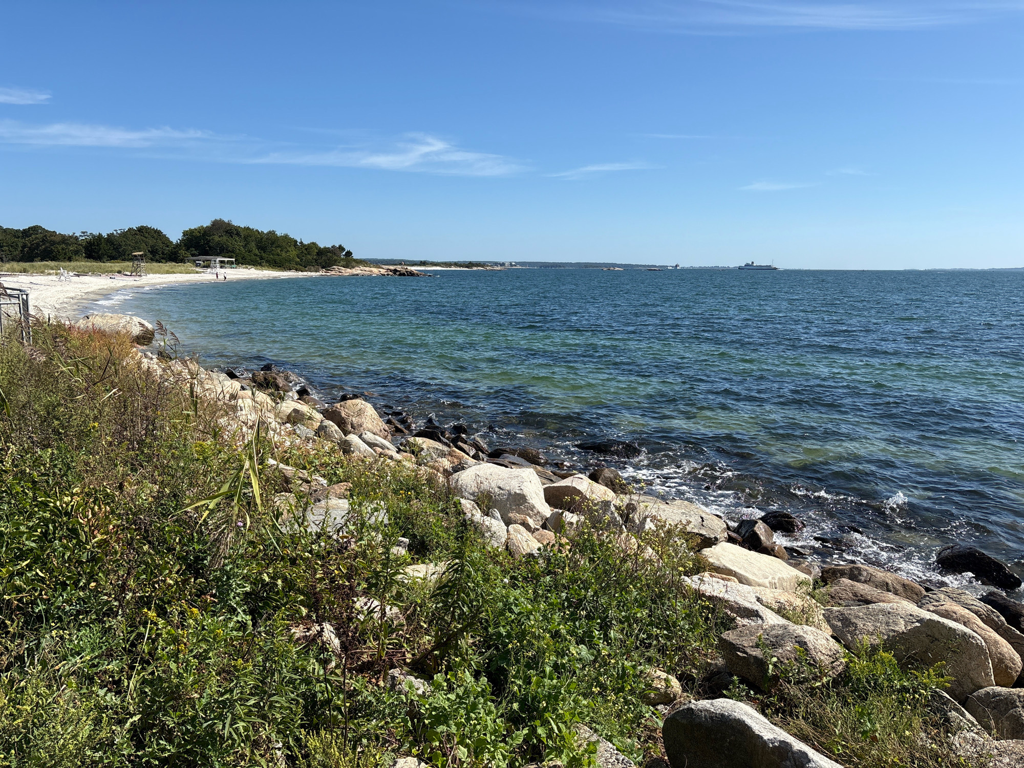 The image shows a coastal scene with a clear blue sky and calm blue-green water. In the foreground, a rocky shoreline is covered with lush green vegetation and wild grasses. The rocks are varied in size and color, with some smooth, light-colored stones mixed with darker, more irregular ones. The water laps gently at the shore, creating small waves.
Further back, a sandy beach stretches along the coastline, bordered by a line of trees and vegetation. A lifeguard stand is visible on the beach, along with a small structure, possibly a bathhouse or pavilion. A few people can be seen on the beach, appearing as small figures in the distance. In the far distance, on the horizon, several ships or boats are visible on the water, suggesting it is a body of water with maritime traffic. The overall impression is a serene and natural coastal landscape.
This scene is consistent with the coastline of Waterford, Connecticut, USA.