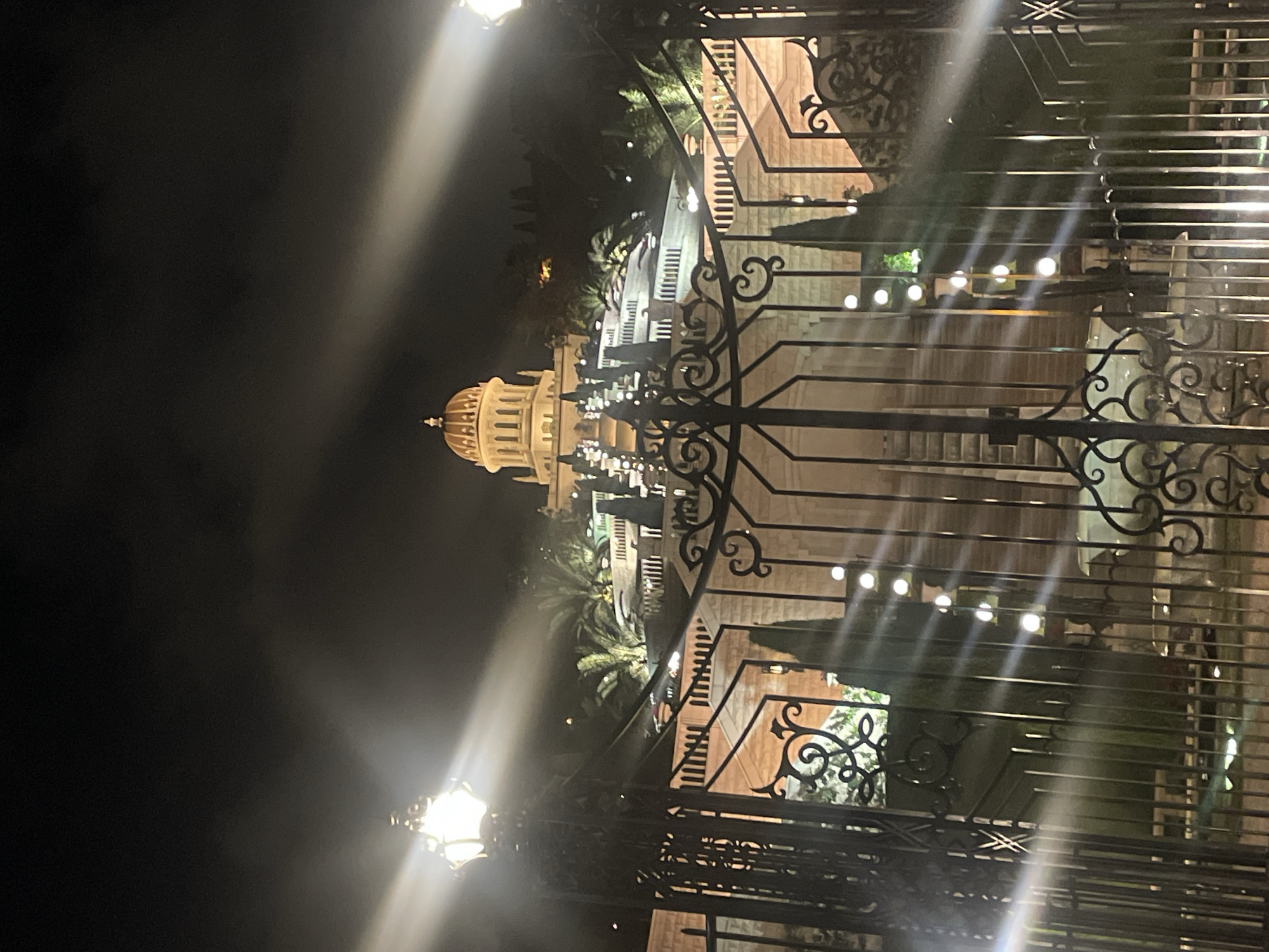 The image is a nighttime photograph of the Baháʼí World Centre complex in Haifa, Israel, viewed from behind a dark, ornate metal gate. In the foreground, the gate's vertical bars and decorative swirls are prominent, with a bright light source to the left casting strong, horizontal beams across the scene.
Beyond the gate, a terraced hillside structure is illuminated. Stone walls and balustrades form multiple levels, with stairs ascending the slope. Rows of small, white lights are visible along the terraces, and taller, slender trees are interspersed between them. Palm trees are also present, with their fronds visible against the dark sky.
Dominating the upper portion of the structure is a prominent, golden-domed building, illuminated from below, which appears to be the Shrine of the Báb. The surrounding sky is dark and appears to have some cloud cover, with additional light sources creating atmospheric flares and beams, particularly from the right side of the image. The overall impression is one of a grand, illuminated architectural site at night.