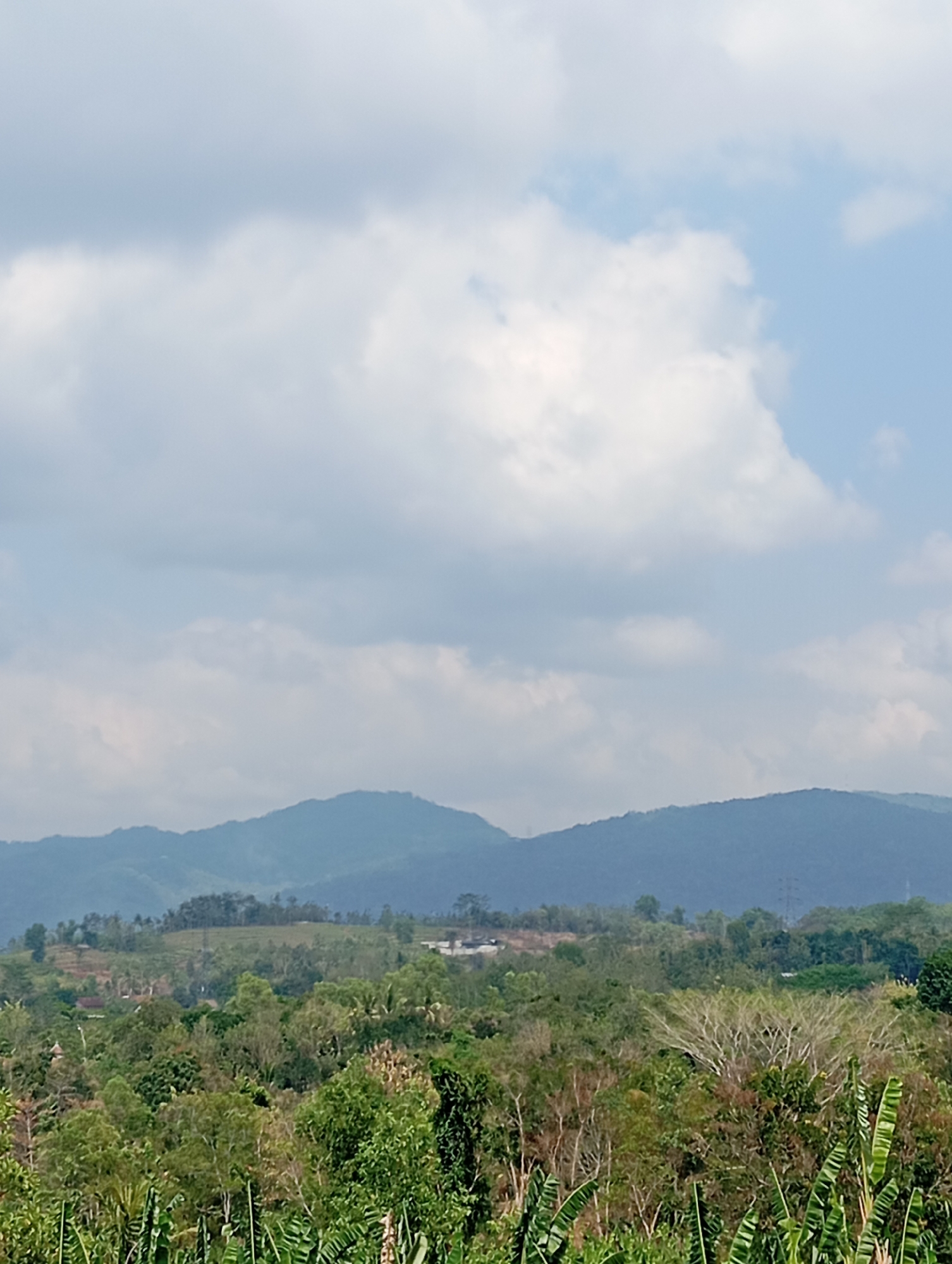 This is a landscape photograph taken in the Sokaraja region of Indonesia, likely from an elevated viewpoint. The scene is dominated by rolling green hills covered in dense vegetation, including a variety of trees and foliage. In the foreground, large banana leaves are prominent, suggesting a tropical environment. Further in the background, the landscape transitions to more distant, hazy blue mountains under a sky filled with large, fluffy white clouds against a light blue backdrop. There are no visible people or animals in the image, nor any apparent human activity beyond structures that are sparsely scattered and almost camouflaged within the greenery of the hills. The overall impression is one of a serene, natural, and somewhat rural setting.