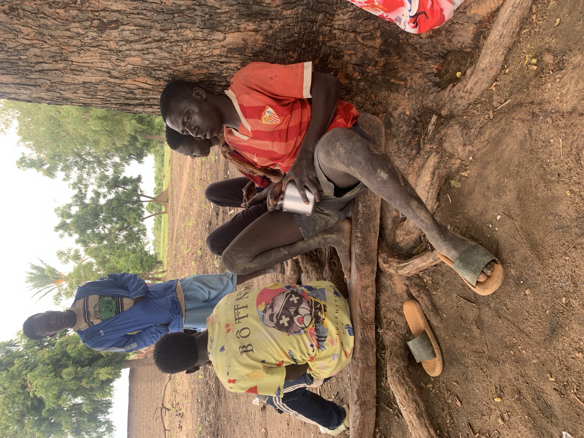 Four young males are seated on the ground under the shade of a large tree, their bodies angled slightly towards the viewer. The scene appears to be outdoors, with the ground covered in dry earth and exposed tree roots. In the background, a few sparse trees and vegetation are visible, suggesting a rural or semi-rural environment. The sky is overcast, indicating potentially cloudy weather.
The individuals are dressed casually. One person in the foreground wears a yellow t-shirt with a cartoon graphic and the text "BÔTTN" and "OIPUSHAYU" printed on it. Another person is wearing a red and white striped t-shirt and dark shorts, holding a metal cup. A third person is in a blue jacket and light-colored pants, and the fourth is mostly obscured but appears to be wearing dark pants and a t-shirt. Their postures suggest they are resting or seeking shelter from the sun.
The time of day appears to be daytime, given the light conditions and the presence of shade. The ground is dry and dusty, with some small pebbles and leaves scattered around. The roots of the large tree are prominently featured, intertwining with the ground. Two pairs of sandals are visible on the ground near the seated individuals. The overall impression is of a simple, informal gathering in a natural setting.