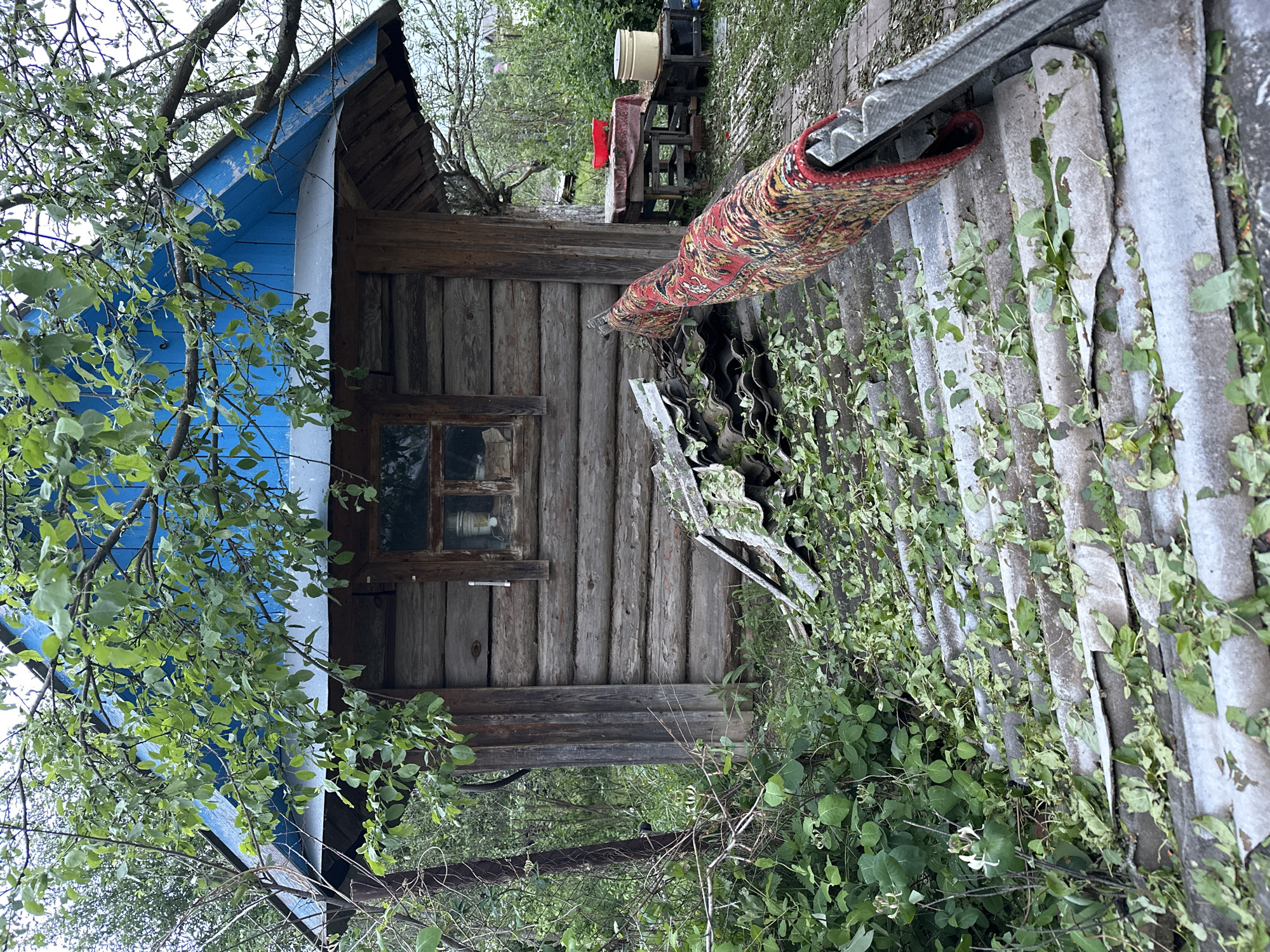 A wooden house with a blue gable roof is located in Среднее Кечево, Russia. The house has a small window and a log exterior. A colorful rug is draped over a corrugated metal roof, covered in vines. Green foliage surrounds the house, creating a natural, overgrown environment. In the background, a table and chairs can be seen.