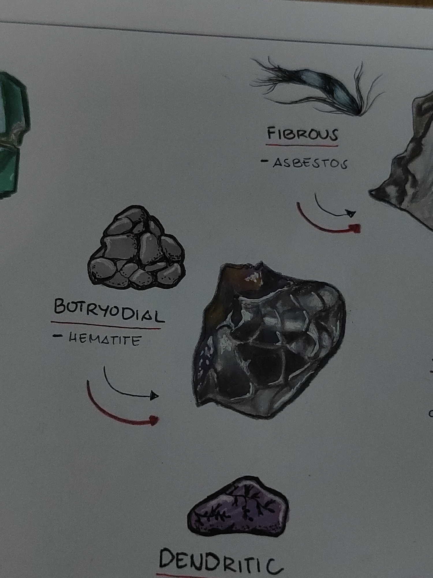 The image displays a series of hand-drawn illustrations of geological specimens on a sheet of white paper. At the upper right, a dark, tufted, fibrous material is depicted and labeled "FIBROUS - ASBESTOS." To its immediate right, a portion of an irregularly shaped, multi-toned brown and grey object is visible.
In the center-left, a cluster of rounded, pebble-like grey forms is illustrated, identified by the label "BOTRYODIAL - HEMATITE." Below this illustration, two curved arrows, one black and one red, indicate a directional flow towards the right.
To the right of the botryodial hematite illustration, a larger, dark, irregularly shaped specimen with a textured, somewhat iridescent or crystalline surface is depicted.
At the bottom center, a purple, irregularly shaped object with intricate, dark, branching patterns resembling veins or root structures is partially visible. The label below it begins "DENDRI_IC," likely denoting "DENDRI**T**IC."
A small portion of a faceted, emerald-green object is visible at the far upper-left edge of the frame.
The overall environment is a plain white background, characteristic of paper, under ambient, somewhat subdued lighting. A thin, dark horizontal line crosses the top portion of the paper, suggesting a binding or fold. No individuals, direct actions, or explicit interactions are depicted.