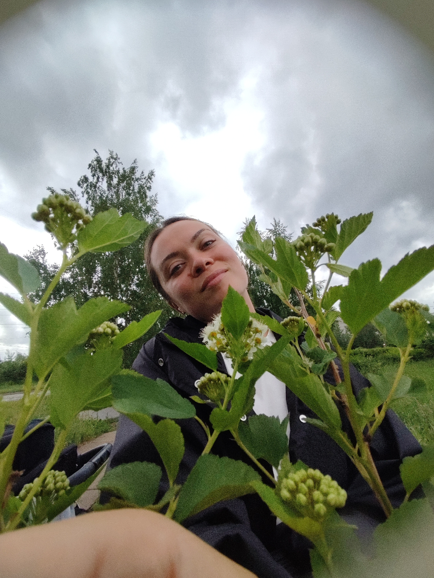 A low-angle selfie captures a young woman looking up towards the camera, her face partially framed by lush green foliage. She appears to be in her 20s or early 30s, with light brown hair and a calm, pleasant expression, featuring a slight smile. She is wearing a dark jacket over a white top.
The foreground is dominated by vibrant green leaves and clusters of small, white-green flower buds or nascent blooms, creating a natural frame around the woman's face. The perspective suggests she is peeking through a dense bush or shrub.
In the background, a large tree with green leaves is visible against a heavily overcast sky, filled with thick, gray clouds. Faint outlines of what appear to be distant structures, possibly a road or path, can be discerned through the foliage on the left side, indicating a rural or suburban setting. The weather is cloudy, suggesting a daytime shot on an overcast day. No visible text is present. The scene is set in Chaikovsky, Russia.