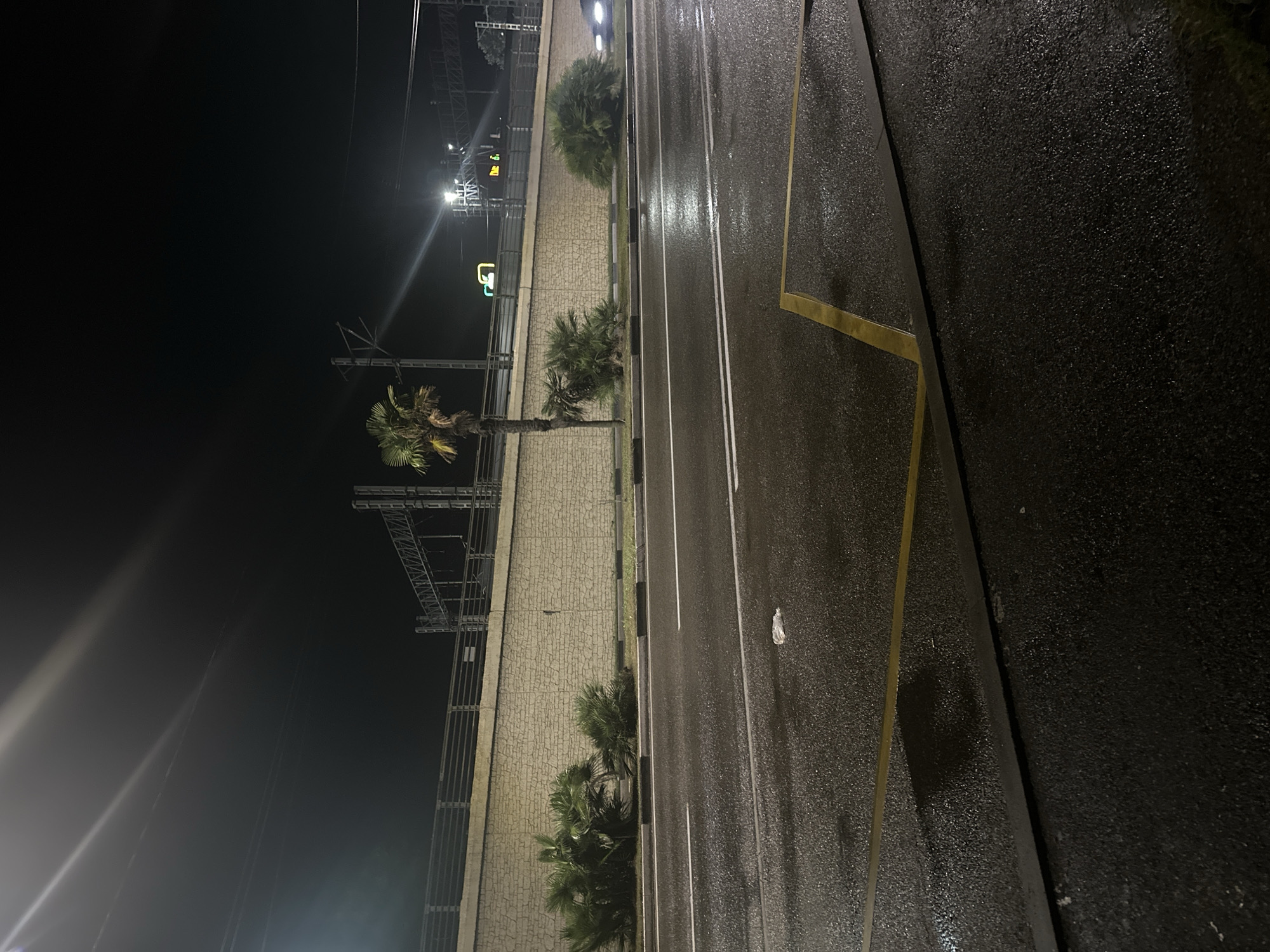 The image depicts a nighttime scene on a wet, asphalt road in Sochi, Russia, likely near a transportation artery. A low, textured concrete wall runs along the side of the road, topped by a railing and overhead electrical infrastructure, suggesting the presence of a railway line or elevated roadway. Several palm trees and bushy green shrubs are visible behind the wall. The road itself is marked with white lines and features yellow directional markings in the foreground. A piece of white litter is present on the wet asphalt. The sky is dark and featureless, with some artificial lights visible in the distance, including what appears to be a green neon sign. The overall impression is one of a typically urban, post-rain nocturnal environment in a city known for its subtropical climate.