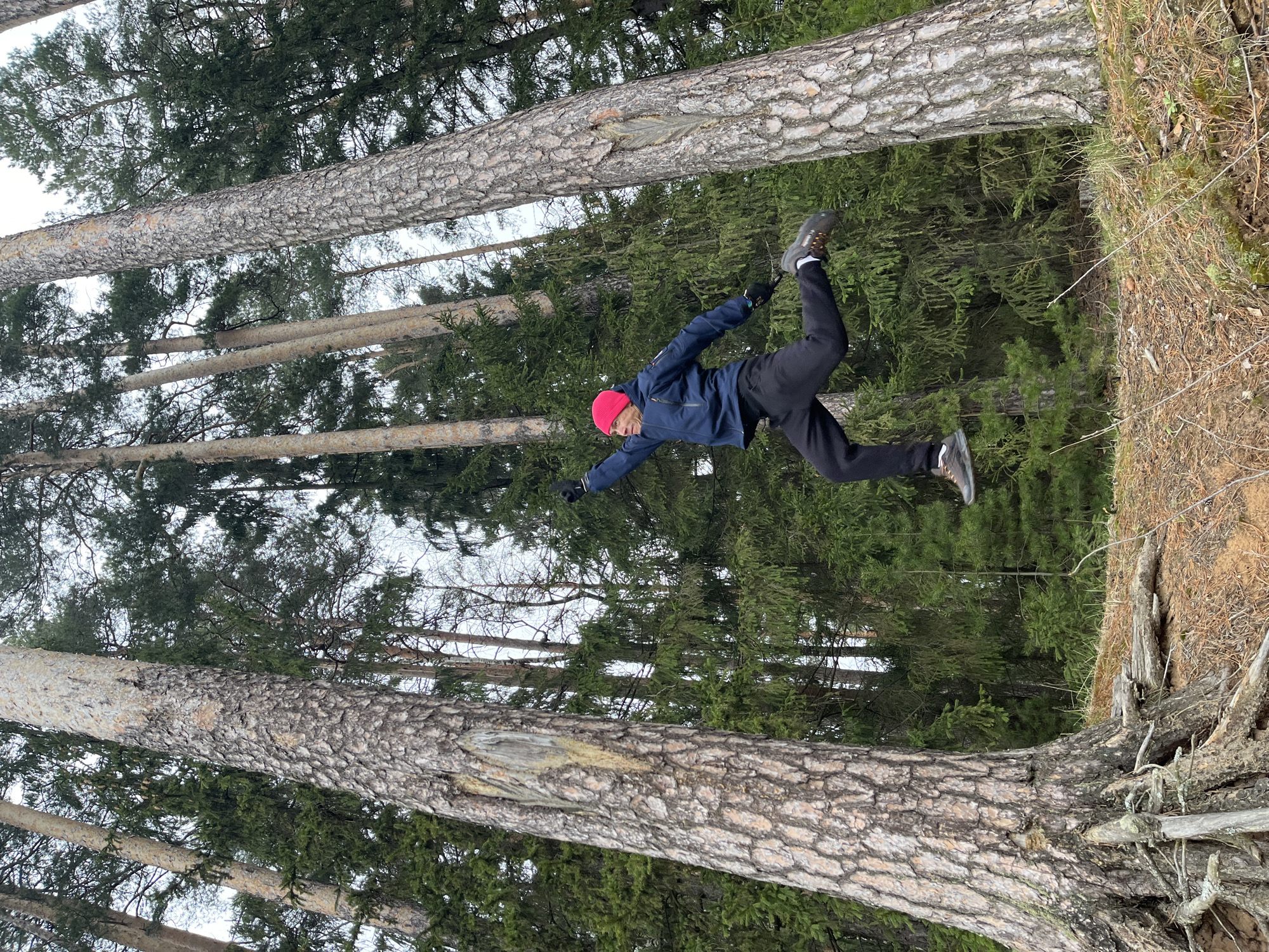A person wearing a red beanie, a blue jacket, and black pants is mid-air in a forest. The person's arms are outstretched, and their legs are extended in different directions. Tall pine trees surround the person. Dry vegetation and fallen tree branches are visible on the ground. The exact location in Chaikovsky, Russia, cannot be determined from the image.