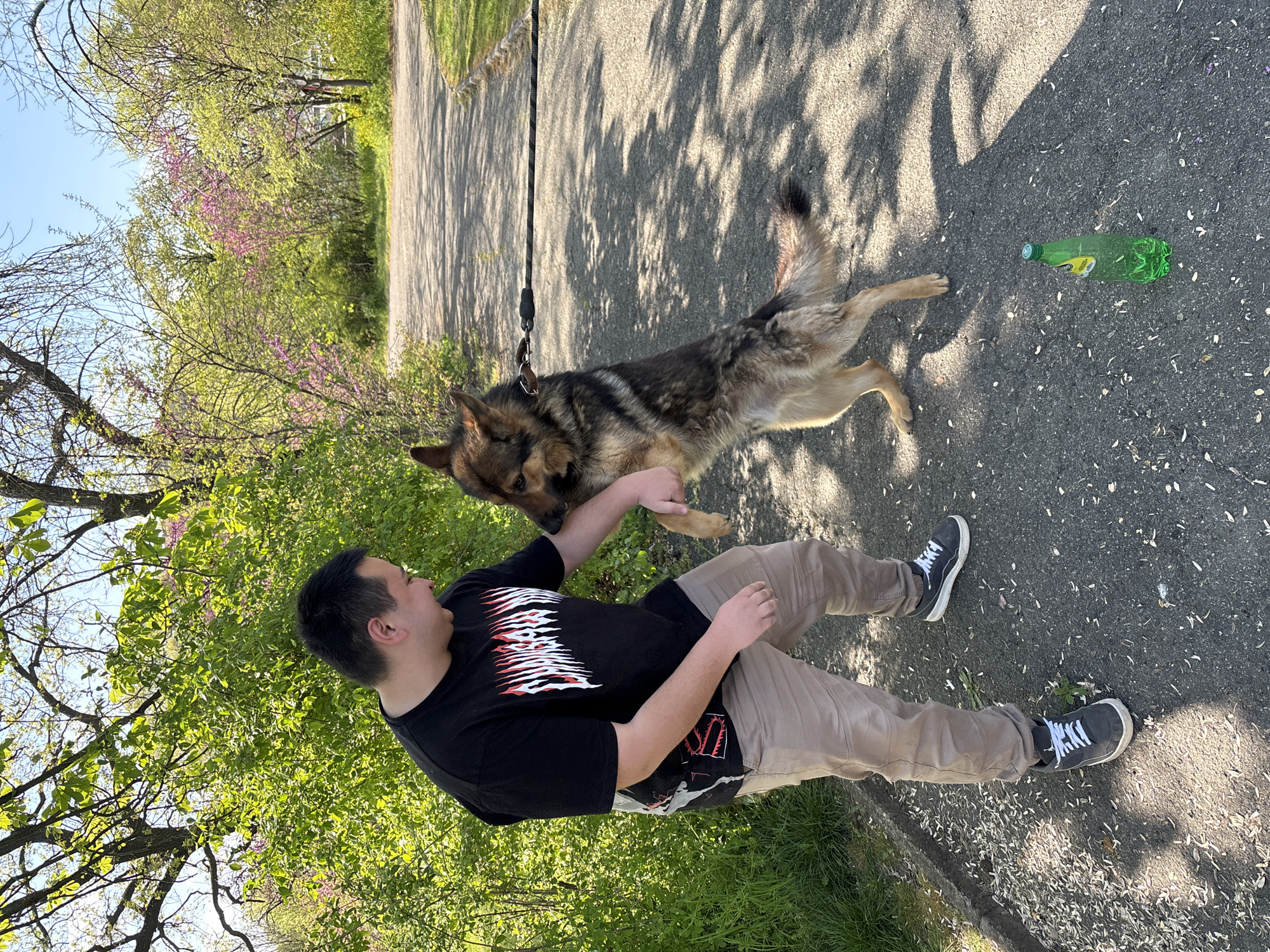 The image captures a warm interaction between a man and a dog on an asphalt path in Chirpan, Bulgaria. The outdoor scene is bathed in bright sunlight, casting dappled shadows from overhead trees across the ground. Lush green foliage, including trees with both fresh green leaves and some adorned with pinkish-purple blossoms, lines the path under a clear blue sky.
In the foreground, a man, dressed in a black t-shirt with a striking red and white graphic design and khaki pants, is engaged in playful interaction with a large, medium-furred dog, likely a German Shepherd or a similar breed. The dog, standing on its hind legs, has its front paws on the man's arm as it looks up at him with an attentive gaze. The man is looking down at the dog, his hand near its paw, suggesting a moment of shared affection or play. A leash is attached to the dog's collar but hangs loosely, indicating a relaxed setting.
To the right of the man and dog, a green plastic bottle, possibly a soda bottle like Sprite, lies on the asphalt path, reflecting the sunlight. The strong light and shadows suggest the time of day is either mid-morning or late afternoon. The overall atmosphere conveys joy and companionship during an outdoor activity.