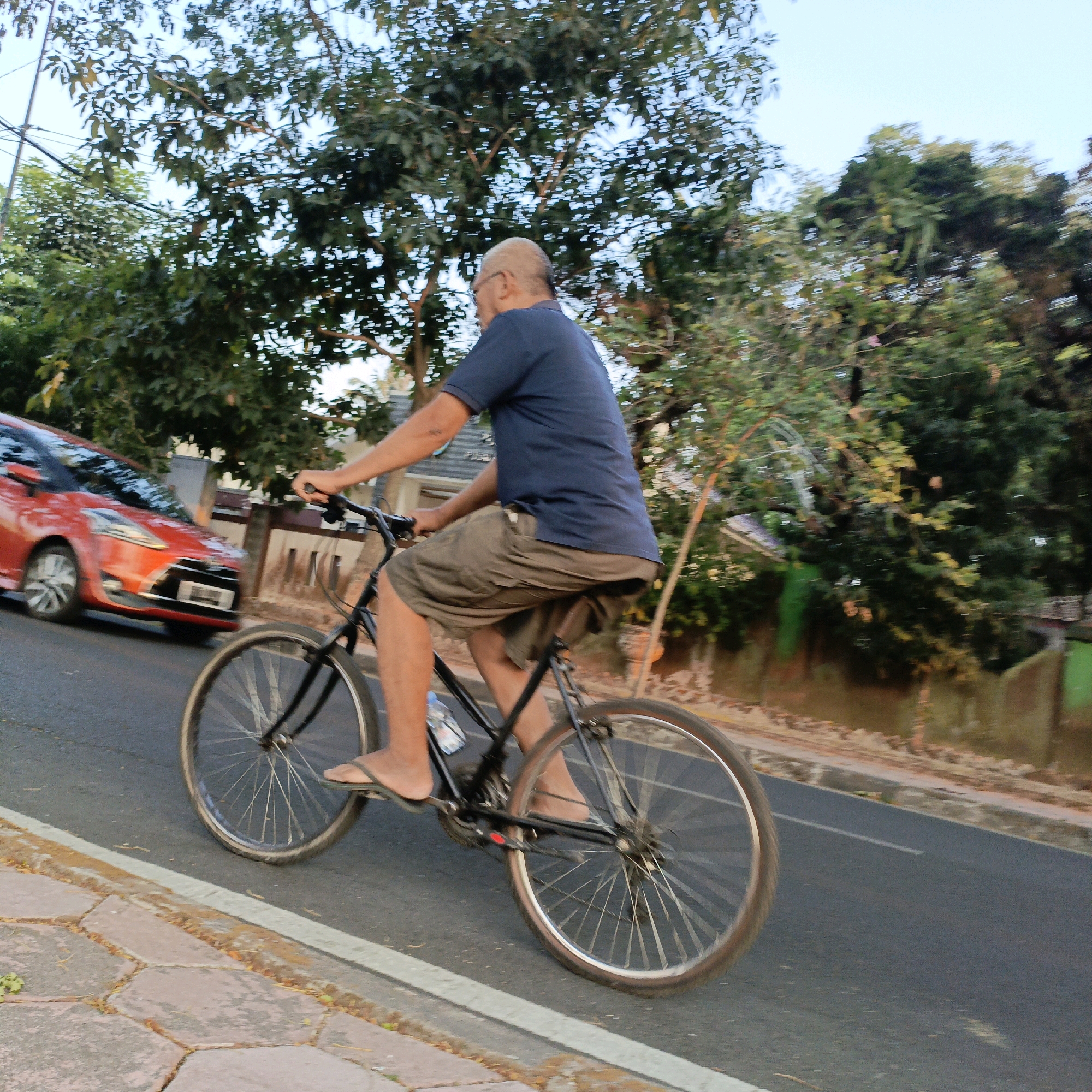 A balding man with glasses, wearing a navy blue t-shirt and khaki shorts, rides a black bicycle on a paved road in Salatiga, Indonesia. The man is in motion, his legs pedaling and his body leaning slightly forward. He is on the right side of the road, with a red car visible to his left, also in motion. Trees and foliage line the background, with a hint of buildings and structures suggesting a residential or urban area. The lighting indicates it is daytime, possibly late afternoon given the warm tones. The perspective is from a slightly elevated position, looking towards the cyclist and the road. The image captures a moment of everyday life in Salatiga, where cycling is a common mode of transportation.