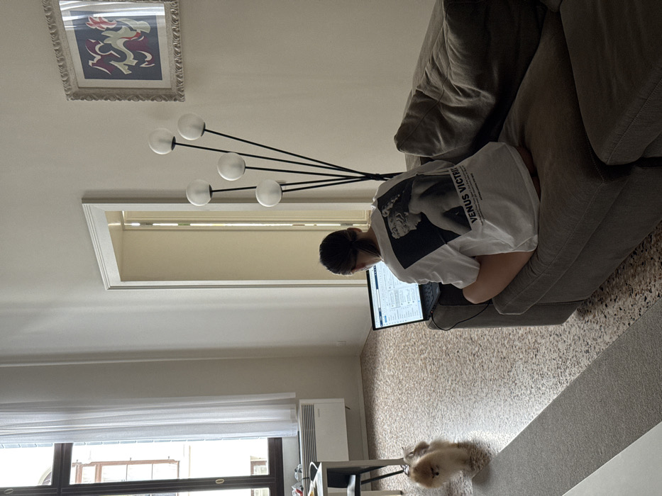 A female subject is seated on a dark grey upholstered sofa, facing away from the viewer, operating a black laptop. She wears a white t-shirt featuring a black-and-white print of a classical female statue with the text "VENUS VICTRIX." Her legs are bare. The laptop screen displays a grid-based interface. To the right of the subject, a modern floor lamp with five spherical white globes on black stems stands against a light beige wall. A framed abstract artwork, featuring red, blue, and white shapes, is mounted above the lamp. An open doorway with a white frame is visible to the subject's left.
In the mid-ground to the left, a small, light brown, fluffy dog, resembling a Pomeranian, walks on a leash across a speckled terrazzo floor. Further left, a partial view of a white table and a black chair is visible. A large window, adorned with white sheer curtains, overlooks an exterior building with arched, multi-pane wooden windows, indicative of Venetian architectural style. A white radiator is installed beneath the window. The interior space, characterized by light walls and terrazzo flooring, is consistent with a residential apartment in Venice, Italy.