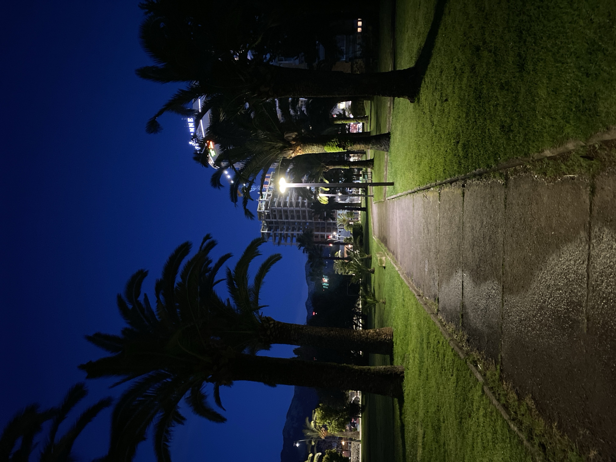 The image presents a nighttime view of a landscaped pedestrian pathway in Budva, Montenegro. A dark asphalt pathway, exhibiting reflective areas consistent with dampness, extends from the foreground into the distance. This path is bordered on both sides by low concrete curbs and cultivated green grass. Multiple tall palm trees, largely appearing as dark silhouettes, are systematically arranged along both sides of the pathway. Several modern streetlights, emitting a yellow-orange light, illuminate sections of the pathway and the adjacent grass. In the background on the right, a multi-story building identified as Hotel Splendid features illuminated rooftop signage, with the partial word "ANNE" visible. To the left of the pathway, a multi-story building currently under construction, characterized by visible scaffolding, is present. Distant mountains form a dark silhouette against the deep blue night sky on the left horizon. No individuals, discernible actions, or interactions are observed within the frame.