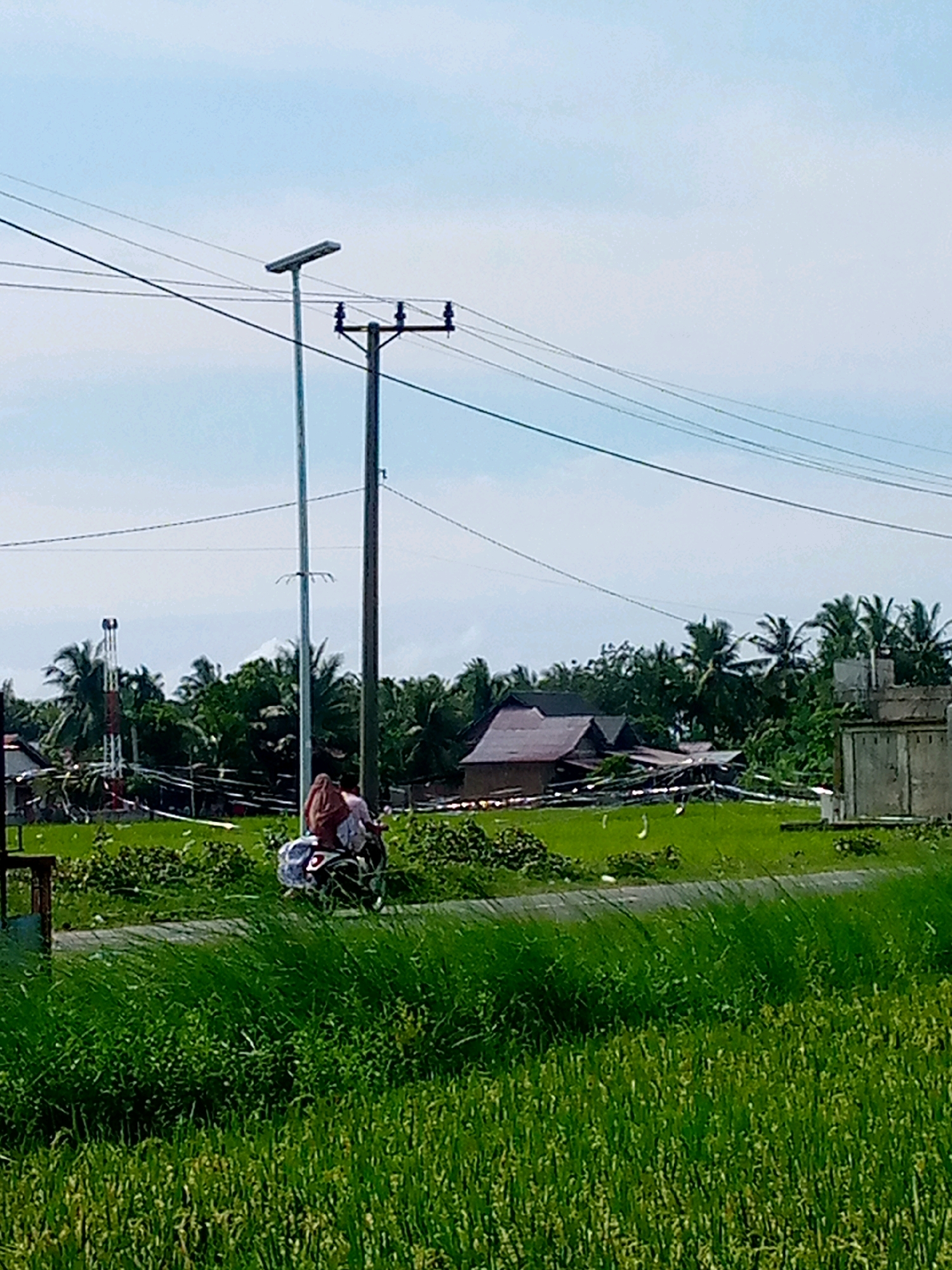 This is a photograph taken in Kutaglumpang, Indonesia. The scene depicts a rural landscape with a prominent rice paddy in the foreground, stretching into the middle ground. In the middle ground, a paved road runs horizontally across the frame, with a motorcycle carrying two people traveling along it from left to right. The driver is visible from the back, wearing a pink headscarf, and a passenger is seated behind them, also with a headscarf. Beyond the road, a large expanse of green rice fields is visible, dotted with several buildings, including houses with red roofs and a concrete structure. Coconut trees and other lush vegetation are scattered throughout the area, suggesting a tropical climate. Overhead, a series of utility poles and power lines crisscross the sky, with a solar-powered street light mounted on one of the poles. The sky is partly cloudy, with a bright, hazy atmosphere. The overall impression is one of a tranquil rural setting.