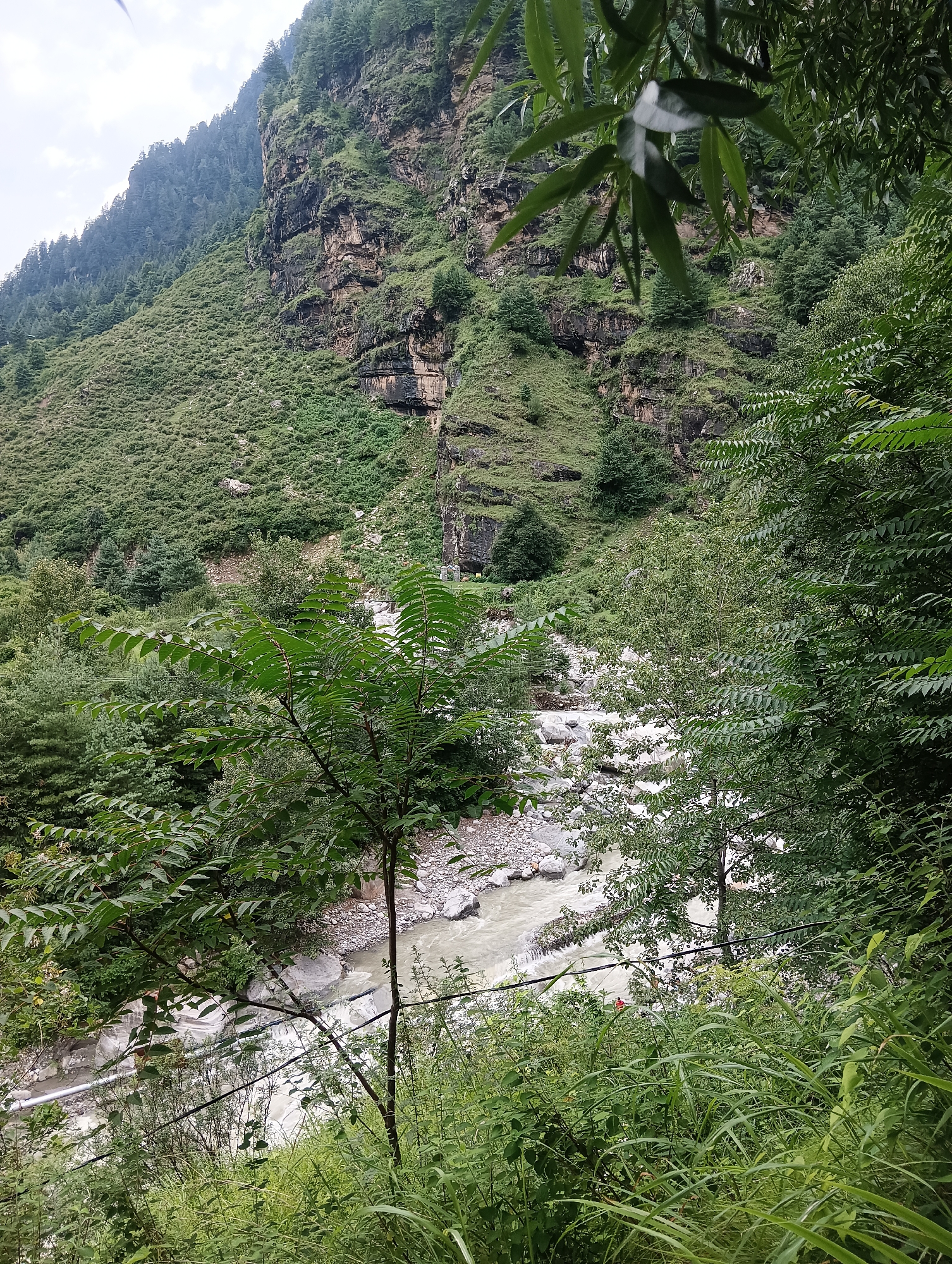 The image shows a lush green mountain slope with a river flowing through a rocky bed in the foreground. The slope is covered with dense vegetation, including trees and bushes, and there are visible rock formations and cliff faces. The river appears to be flowing from left to right across the frame. The sky is overcast. In the foreground, there is thick greenery obscuring some of the lower part of the scene. This is likely a view of the Beas River valley in Manali, India, a popular tourist destination known for its scenic beauty and mountainous terrain.