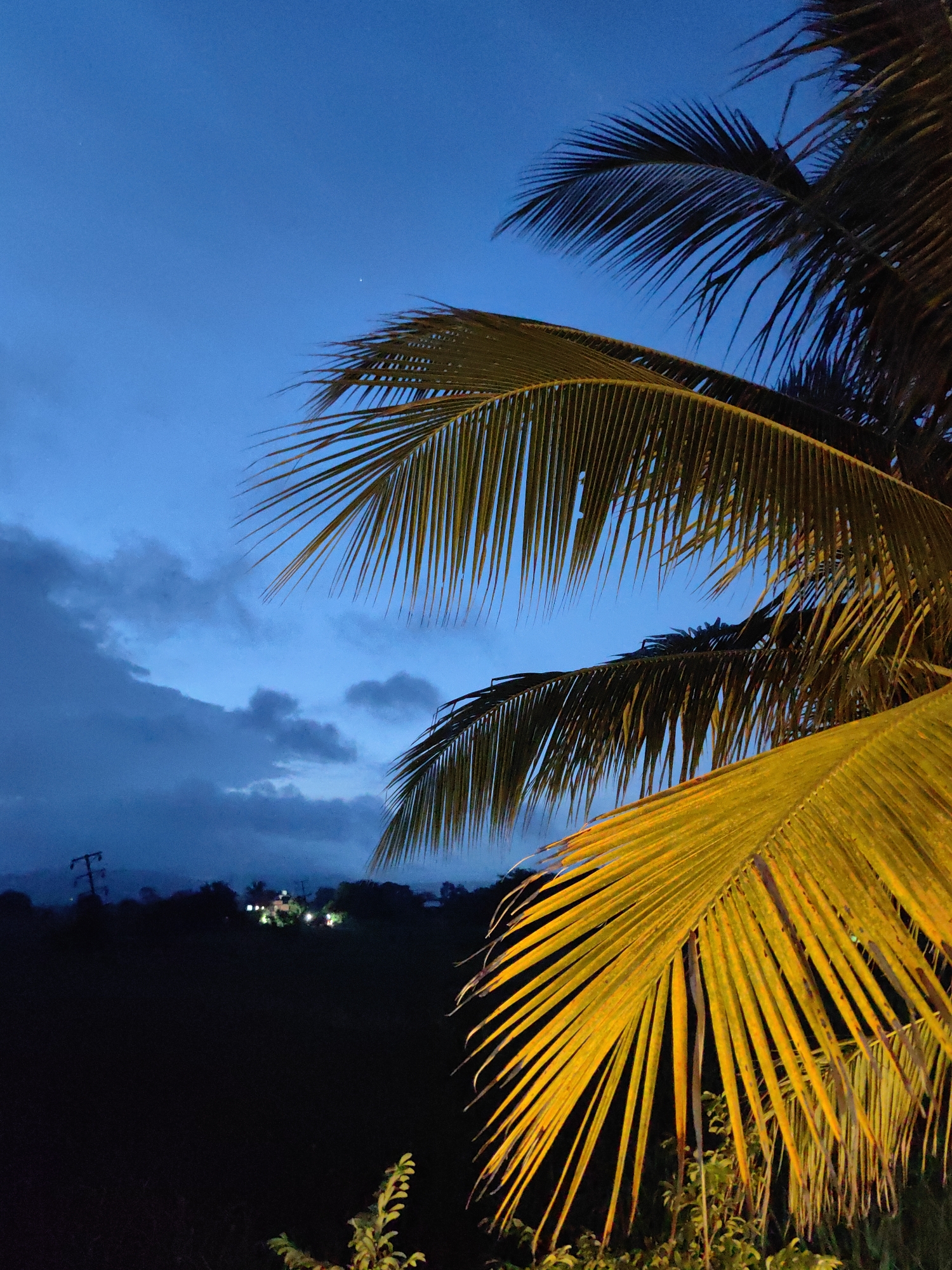This is a photograph taken at dusk or night in Khuldabad, India. In the foreground, the fronds of a palm tree are illuminated by artificial light, casting a warm yellow and orange glow against the deep blue twilight sky. Dark clouds are visible in the sky. In the middle ground, a silhouette of trees and a distant landscape is visible, with scattered lights indicating human habitation. A power line tower is also faintly visible on the left. The foreground also shows some green foliage at the bottom. The overall impression is one of a tropical evening scene.