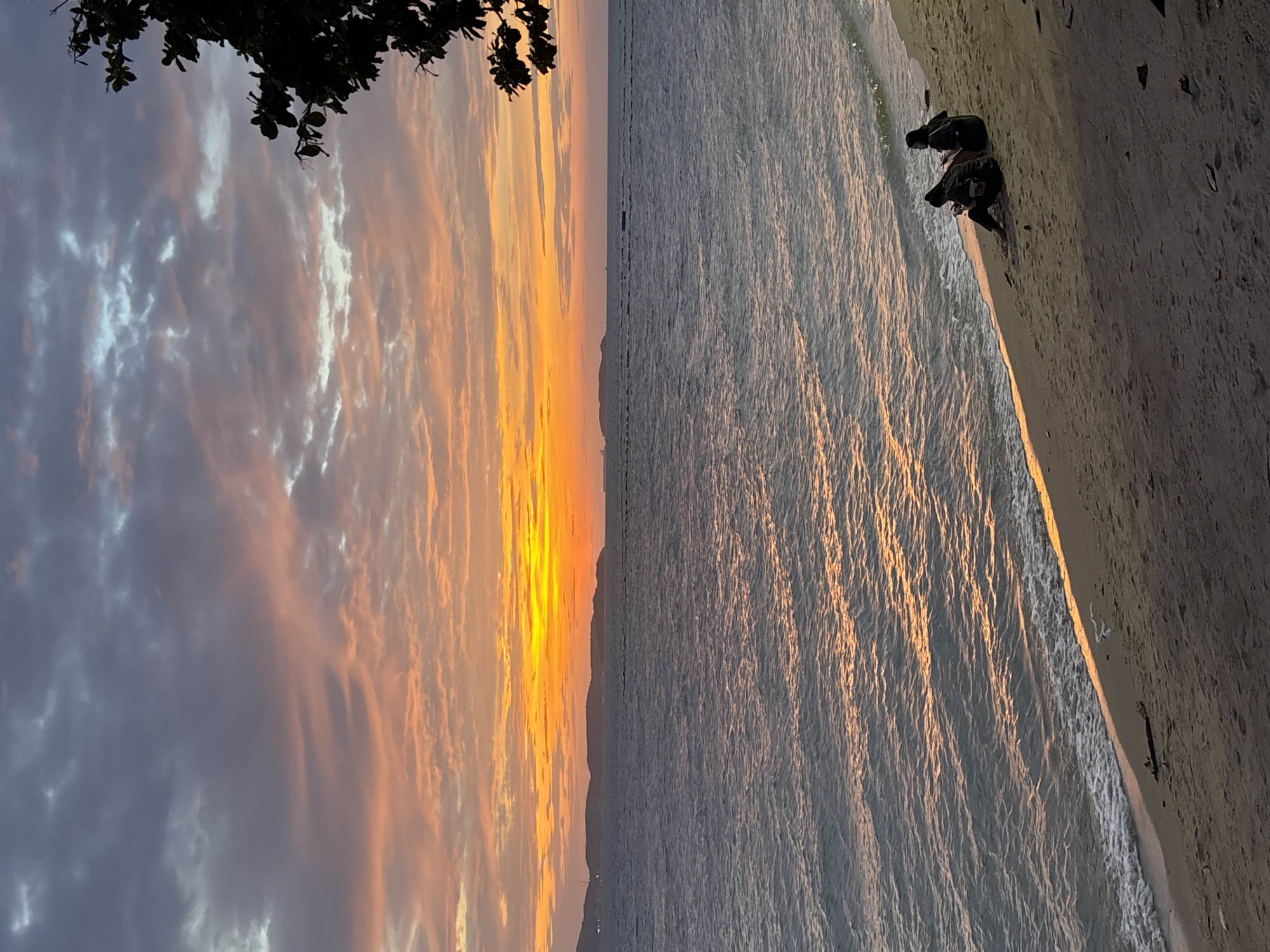 The image depicts a serene beach scene at sunset in Pattaya City, Thailand. The sky is ablaze with hues of orange and pink, with scattered clouds adding texture to the dramatic display. The sun, a bright orange orb, is low on the horizon, casting a warm glow across the choppy ocean waters. Gentle waves lap at the sandy shore, creating a soft white foam line.
In the foreground, two individuals are seated on the beach, facing the ocean. They appear to be engrossed in their mobile phones, their silhouettes stark against the sand. A piece of driftwood lies on the sand near them. The background features a hazy outline of hills or landmasses, possibly islands, and a few distant boats or structures on the water. A silhouette of tree branches with leaves frames the upper right corner of the image, adding a natural element to the composition.