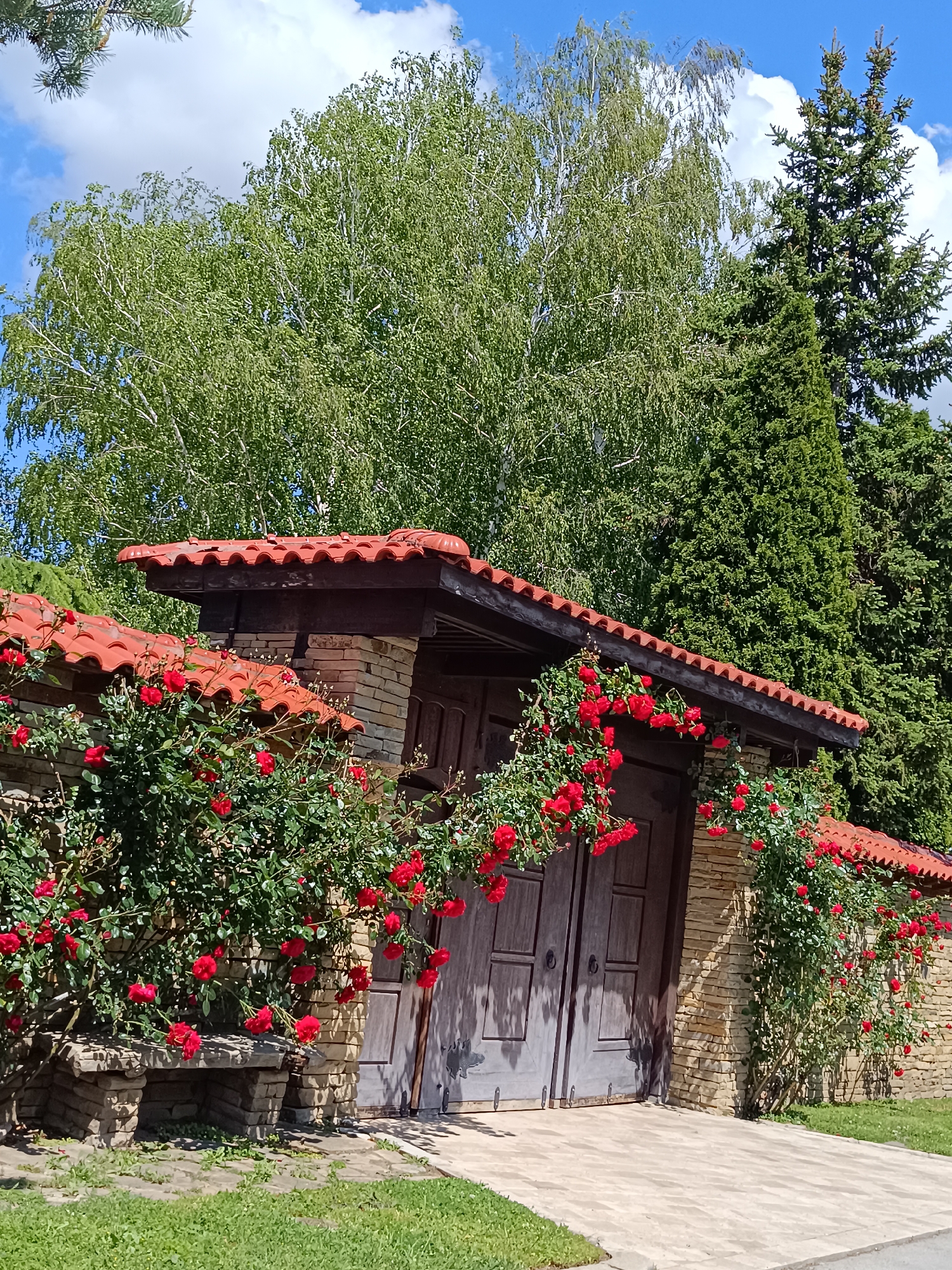 A stone wall with a red-tiled roof and wooden gate covered with red roses is located in Vasil Drumev, Bulgaria. The wall also has a built-in stone bench. Behind the wall are green trees and a blue sky with some white clouds. A paved walkway leads to the gate, and grass grows on either side of the walkway.