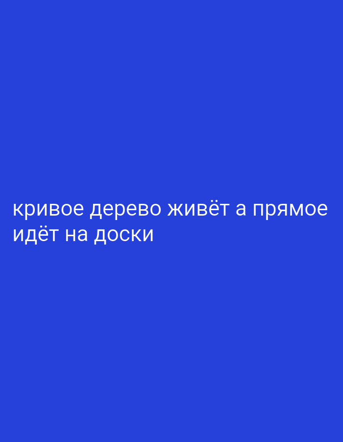 The image contains two lines of text on a blue background. The first line reads "кривое дерево живёт а прямое" and the second line reads "идёт на доски". The text is white and appears to be in Russian. There are no people, objects, or environmental details visible in the image other than the text and the blue background. The location in the city of Dubăsari town council, Moldova is not depicted in this image.