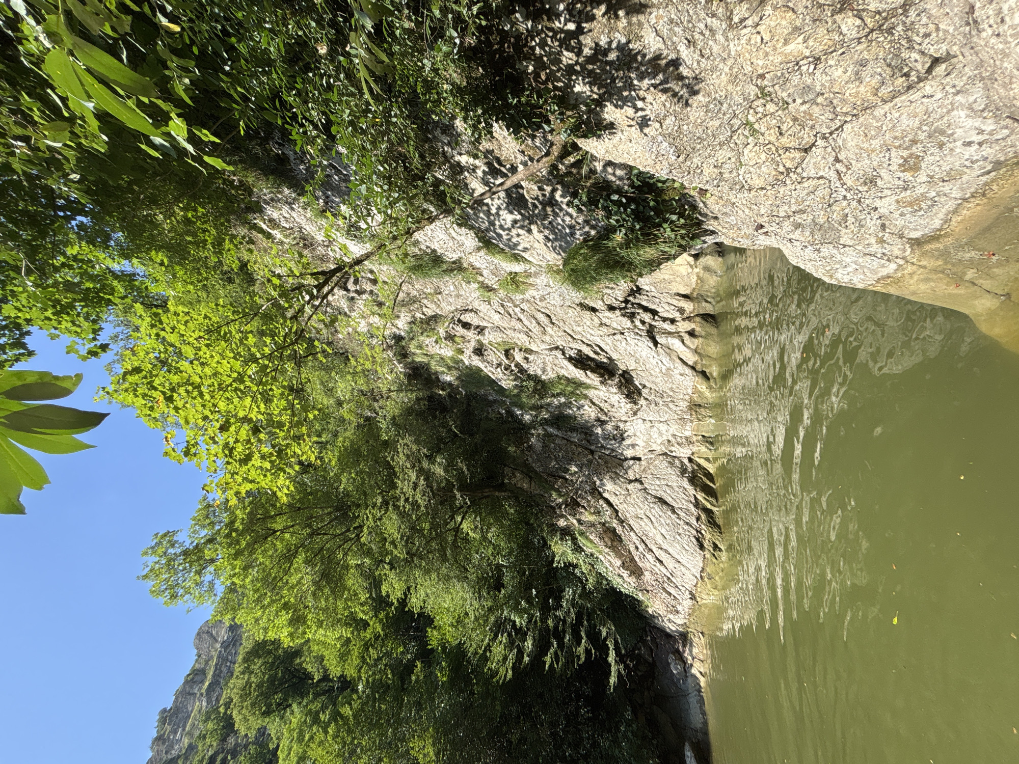 A still, olive-green body of water laps against a sheer, textured rock face covered in sparse green vegetation. Above the rock face, dense, vibrant green trees create a lush canopy, with patches of bright blue sky visible through the leaves. The scene suggests a natural, secluded location.