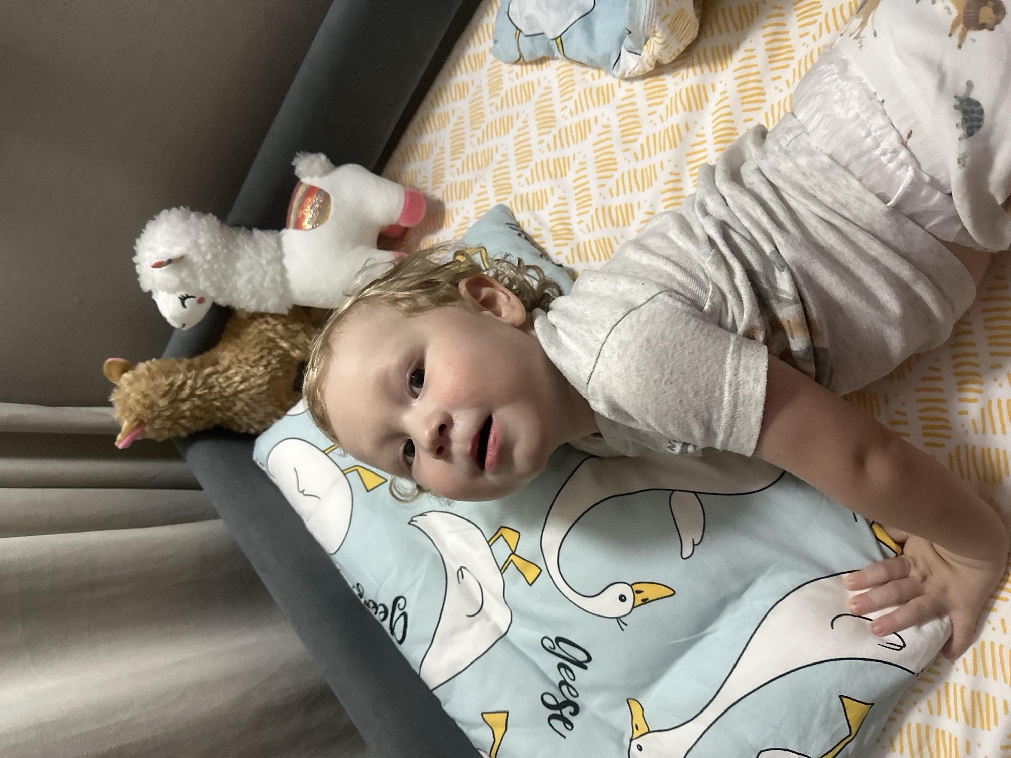 A young child lies on a bed featuring a white and yellow geometric pattern and a blue goose-themed pillow. The child wears a gray shirt and patterned white bottoms. Next to the child, along the bed's gray headboard, are three plush llama toys of varying colors. The location is not discernible as Votkinsk, Russia, from the provided visual information.