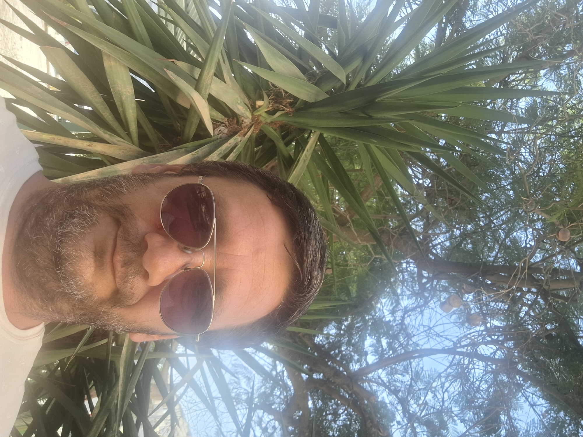 This is a selfie taken outdoors, likely in a park or natural area in Yerocham, Israel. A man with a beard and sunglasses is in the foreground, with large, spiky green leaves of a yucca plant behind him on the left. In the background, there is a tree with a clear blue sky visible through its branches. Some round, brown objects, possibly fruits or seed pods, are hanging from the tree. The lighting suggests it is daytime, with bright sunlight.