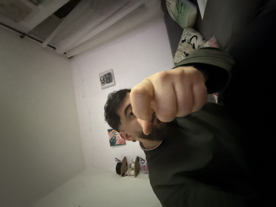 This image depicts an adult male in an indoor residential setting in Strasbourg, France. The male, positioned centrally, has dark, styled hair and a beard, and wears a dark long-sleeved top with a light collar. His left hand is extended towards the camera, forming a fist with the index finger pointed directly at the viewer. The background features white walls. On the left, a two-tiered wooden shelf displays several small objects. Two framed pictures are affixed to the wall: one featuring a tropical leaf motif in pink and green, and another monochrome image with "002" visible. To the right, a dark-colored couch with pillows (one light green, another patterned) is partially visible, adjacent to a window covered by white sheer curtains hanging from a dark rod. The scene is evenly lit.
