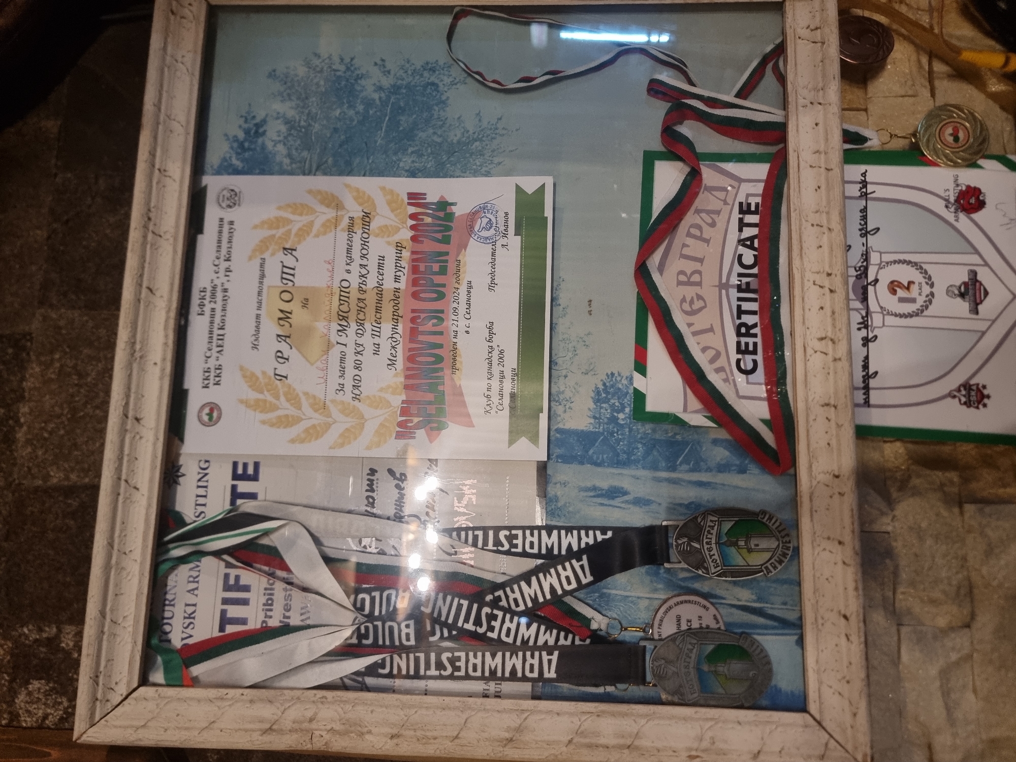 The image shows a framed collection of wrestling awards. The frame is off-white with a distressed finish. Inside the frame, against a light blue background depicting trees, are various documents and medals.
A "GRAMOTA" (certificate) titled "SELANOVTSI OPEN 2024" states that someone won first place in the over 80 kg category for right-handed youth at the 16th international tournament in Selanovtsi, Bulgaria, held on September 21, 2024. A certificate with "БOTEBГРАД CERTIFICATE" is visible, with a Bulgarian flag ribbon draped across it. A certificate with a shield shows "2 PLACE" written on it.
Also displayed are several arm wrestling medals with black straps that say "ARMWRESTLING BULG" and "ARMWRESTLING". The medals feature the text "БОТЕВГРАД ARMWRESTLING" and a tower in the center.