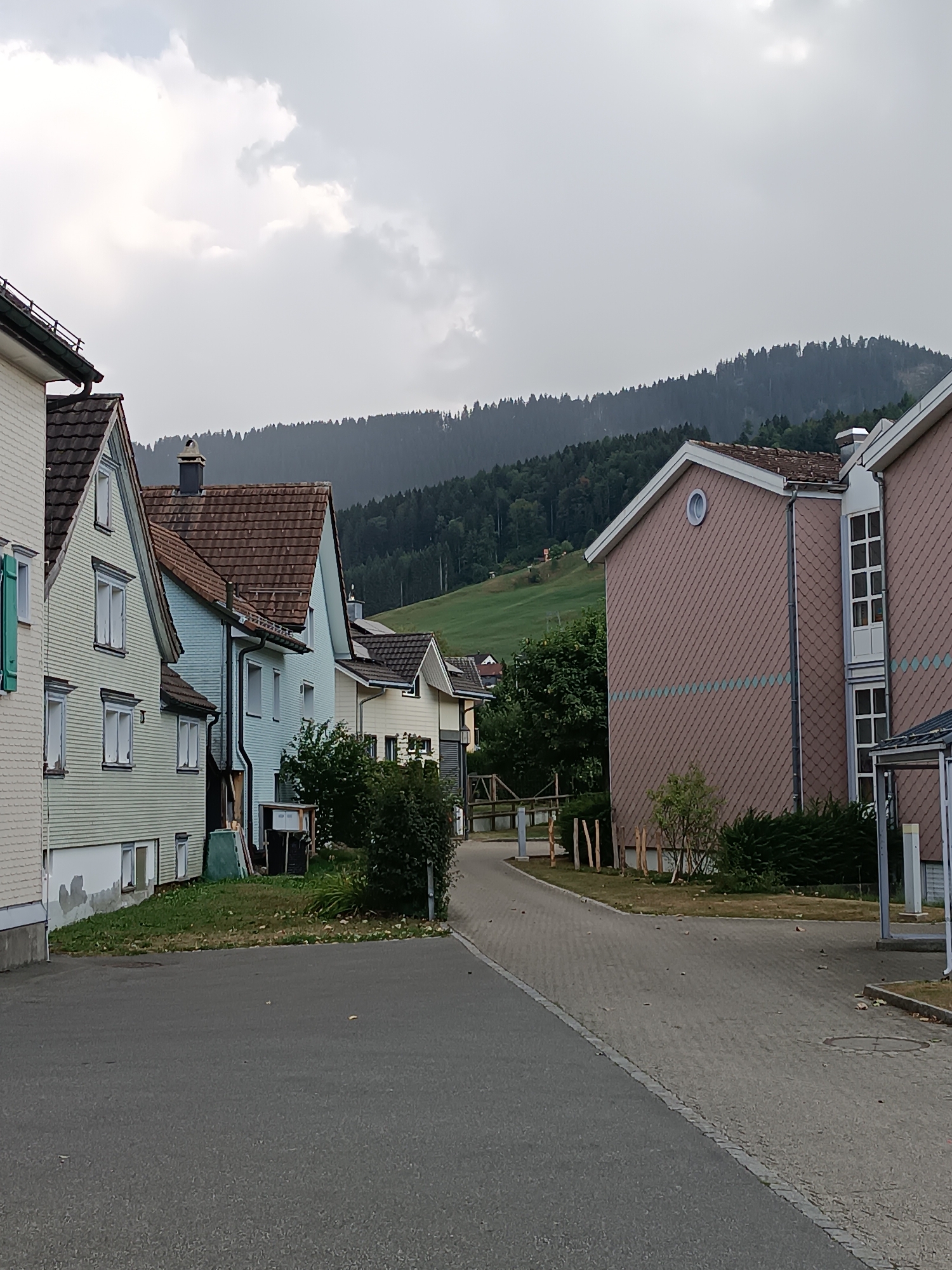The image depicts a residential street in Appenzell, Switzerland, with a row of houses on the left and a larger building on the right. The houses are of varying architectural styles and colors, with pitched roofs and windows. The street is paved with cobblestones and asphalt. In the background, a dense forest covers a hillside, with a cloudy sky overhead. There are no people or vehicles visible in the image. The scene appears to be tranquil and somewhat overcast, possibly after a rainfall, given the damp appearance of the pavement and the muted colors of the landscape. The overall impression is of a quiet, European village setting.