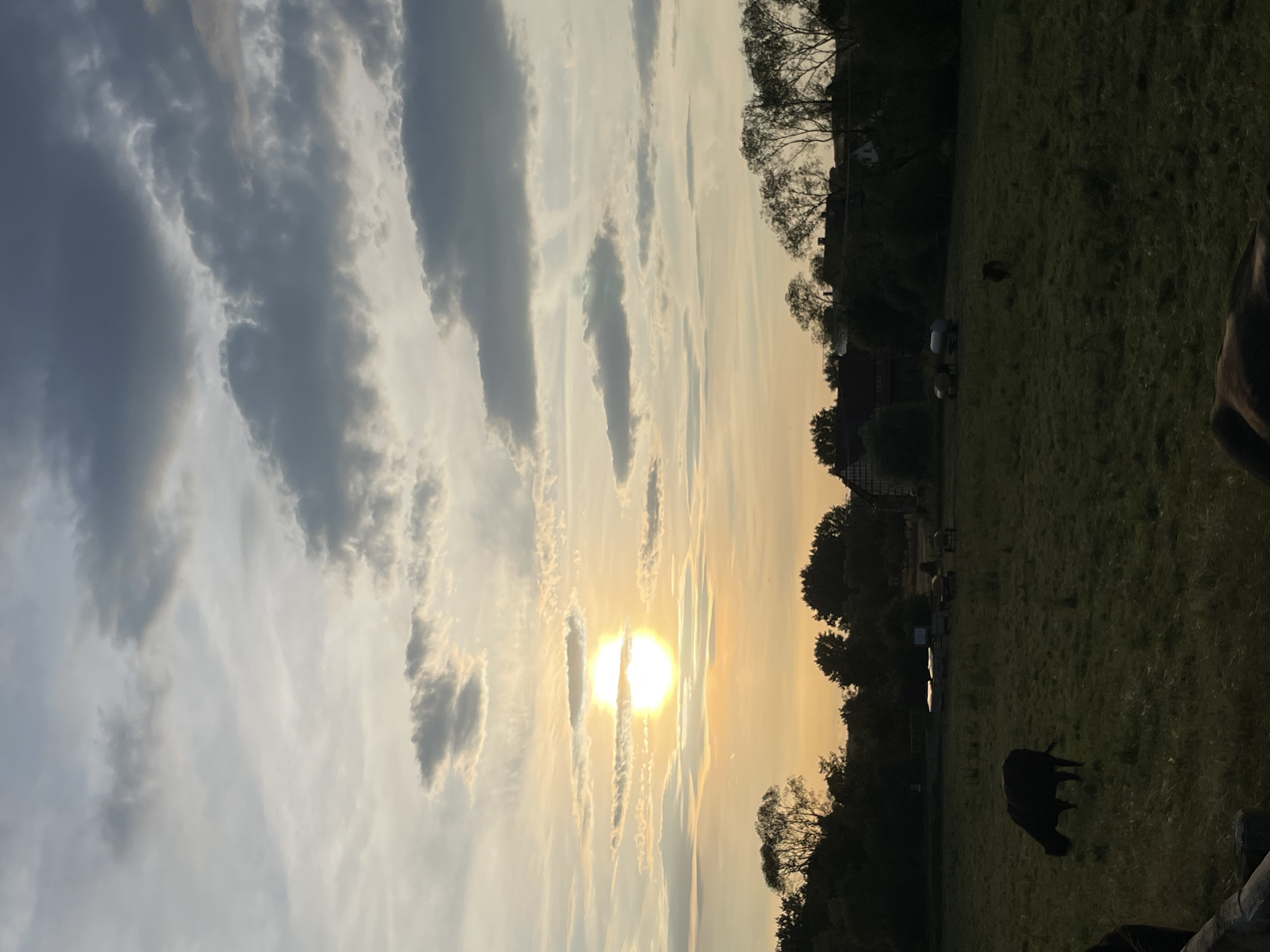 This is a photograph of a field at sunset, likely in the vicinity of Rückershausen, Germany. The sky is filled with dramatic clouds, with the sun visible as a bright orb just above the horizon, casting a warm, golden light. In the foreground, a dark-colored cow grazes in a green field. In the middle ground, several buildings and some agricultural equipment are visible, partially obscured by trees. The overall atmosphere is peaceful and serene.