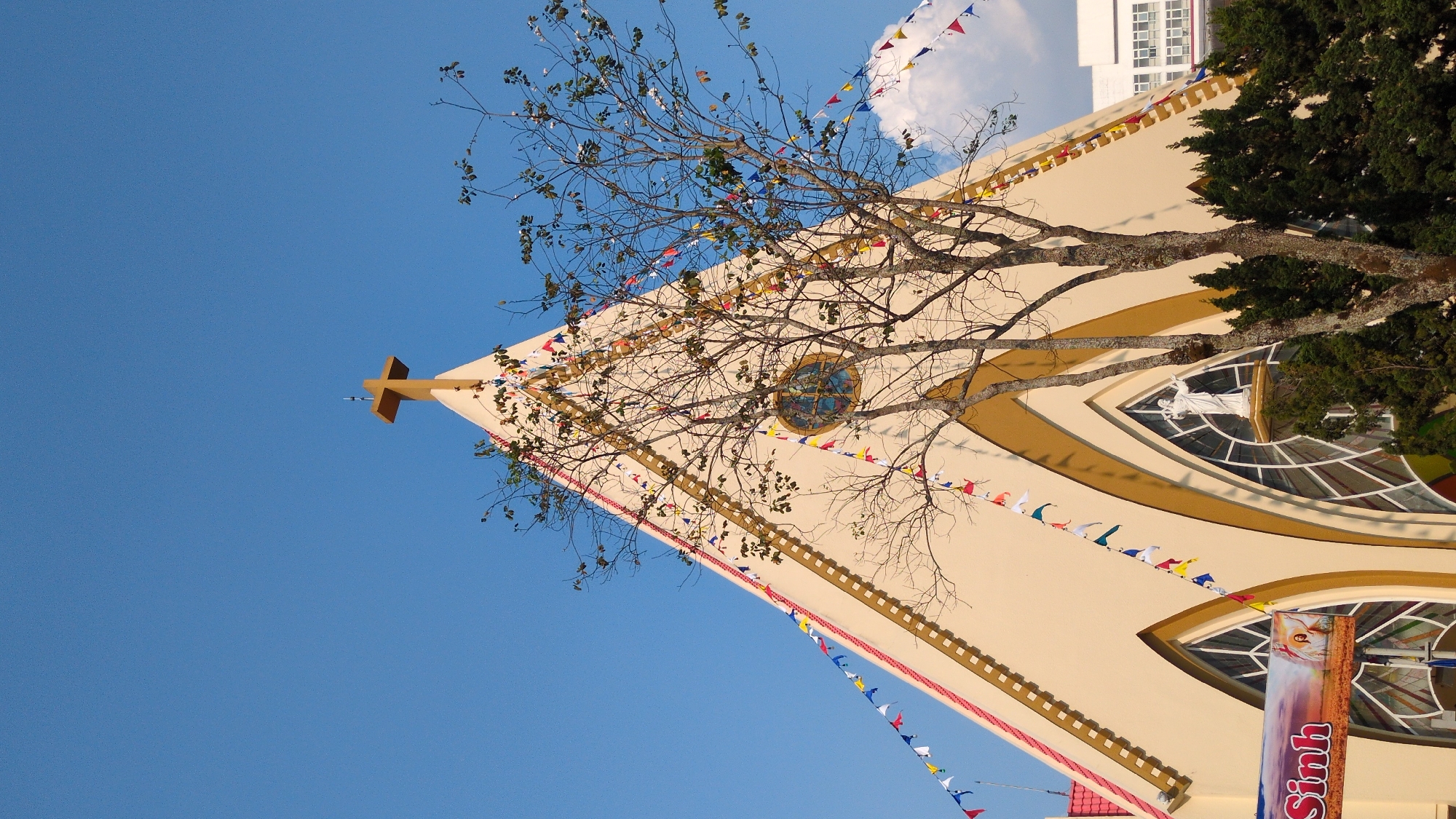The image is a low-angle shot of the Sacred Heart Cathedral in Da Lat, Vietnam. The cathedral's cream-colored facade, adorned with gold trim and triangular pennant banners, dominates the frame. The pointed roof, topped with a gold cross, contrasts against a clear, bright blue sky. A partially bare tree with sparse leaves obscures sections of the building. Two distinct arched windows are visible, one containing a statue of a woman. A banner with a portrait and Vietnamese text is near the bottom edge of the frame. A green tree is visible towards the right of the cathedral. A portion of a building is visible at the top of the frame.