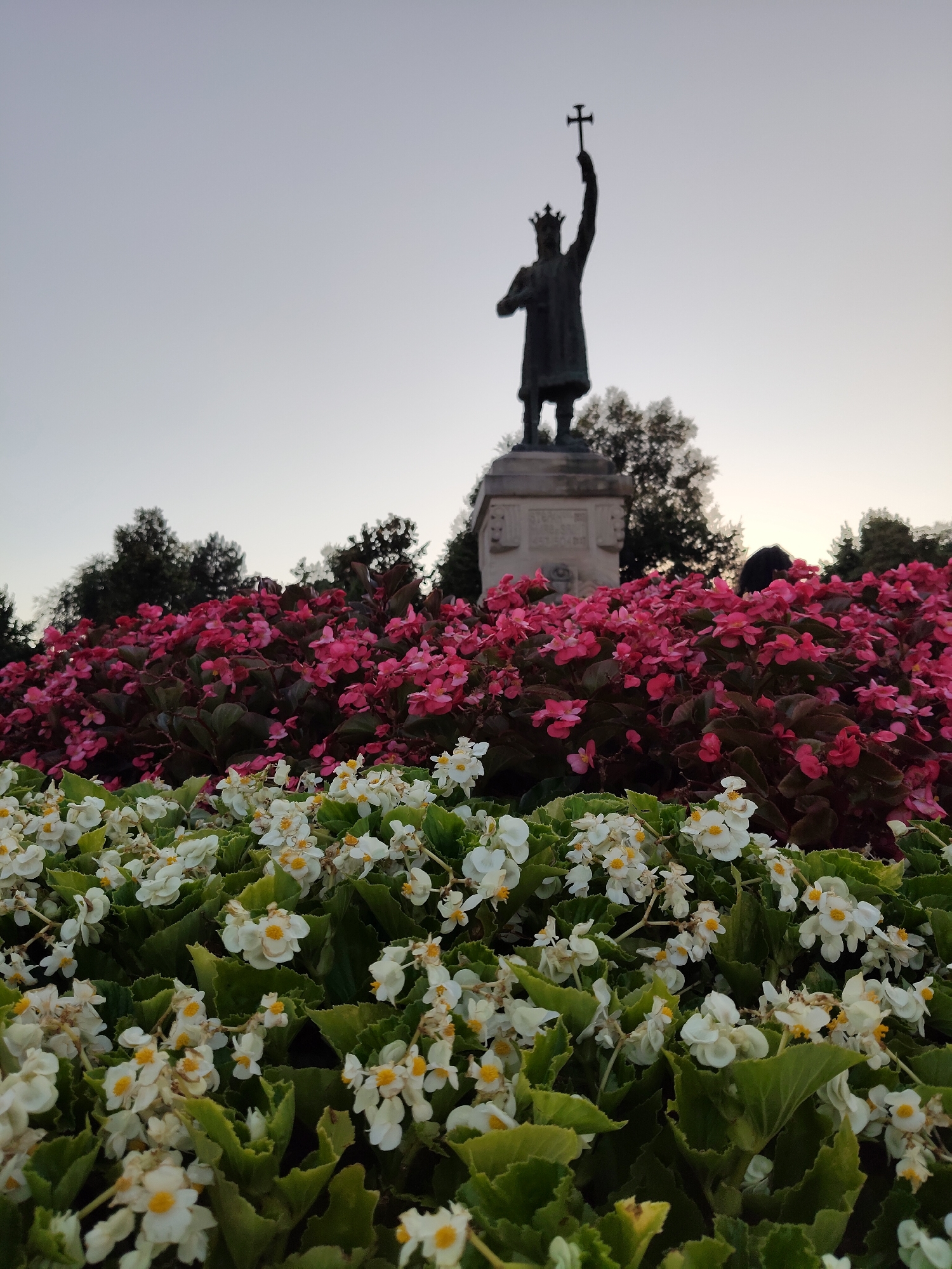 A low-angle, eye-level shot captures a statue of a man with a crown and a cross raised in his right hand, silhouetted against a pale sky. The statue stands atop a stone pedestal, partially obscured by a dense bed of pink flowers. In front of the pink flowers, a foreground of white flowers with yellow centers creates a vibrant contrast. The flowers are planted in a garden setting, with lush green leaves and dark foliage of trees visible in the background. The overall impression is one of a memorial or monument surrounded by carefully tended landscaping. This statue is known as the "Stephen the Great Monument" and is located in the main square of Chișinău, Moldova.