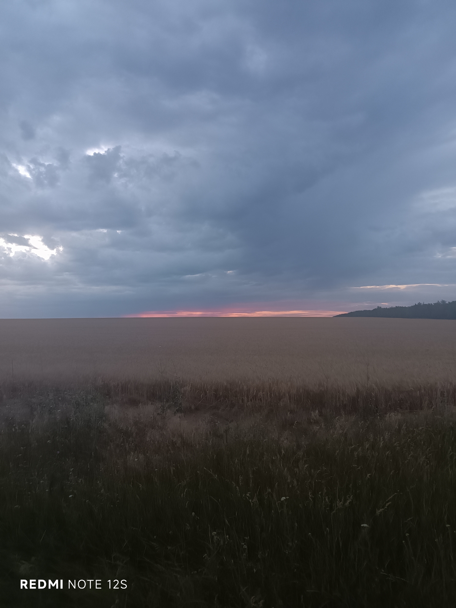 The image shows a wide shot of a field of dry grass, likely wheat or barley, stretching to the horizon. The sky above is overcast with dark, heavy clouds, but a sliver of light pink and orange sunset is visible at the distant horizon. A faint, dark line of trees is visible on the far right, silhouetted against the sky. The foreground is filled with dark, blurred grass and some scattered white flowers. The bottom left corner of the image contains the text "REDMI NOTE 12S" in white lettering. The scene appears to be an outdoor rural landscape, possibly at dusk, without any people or specific urban features visible that would indicate a location within the city of Gaidar, Moldova.