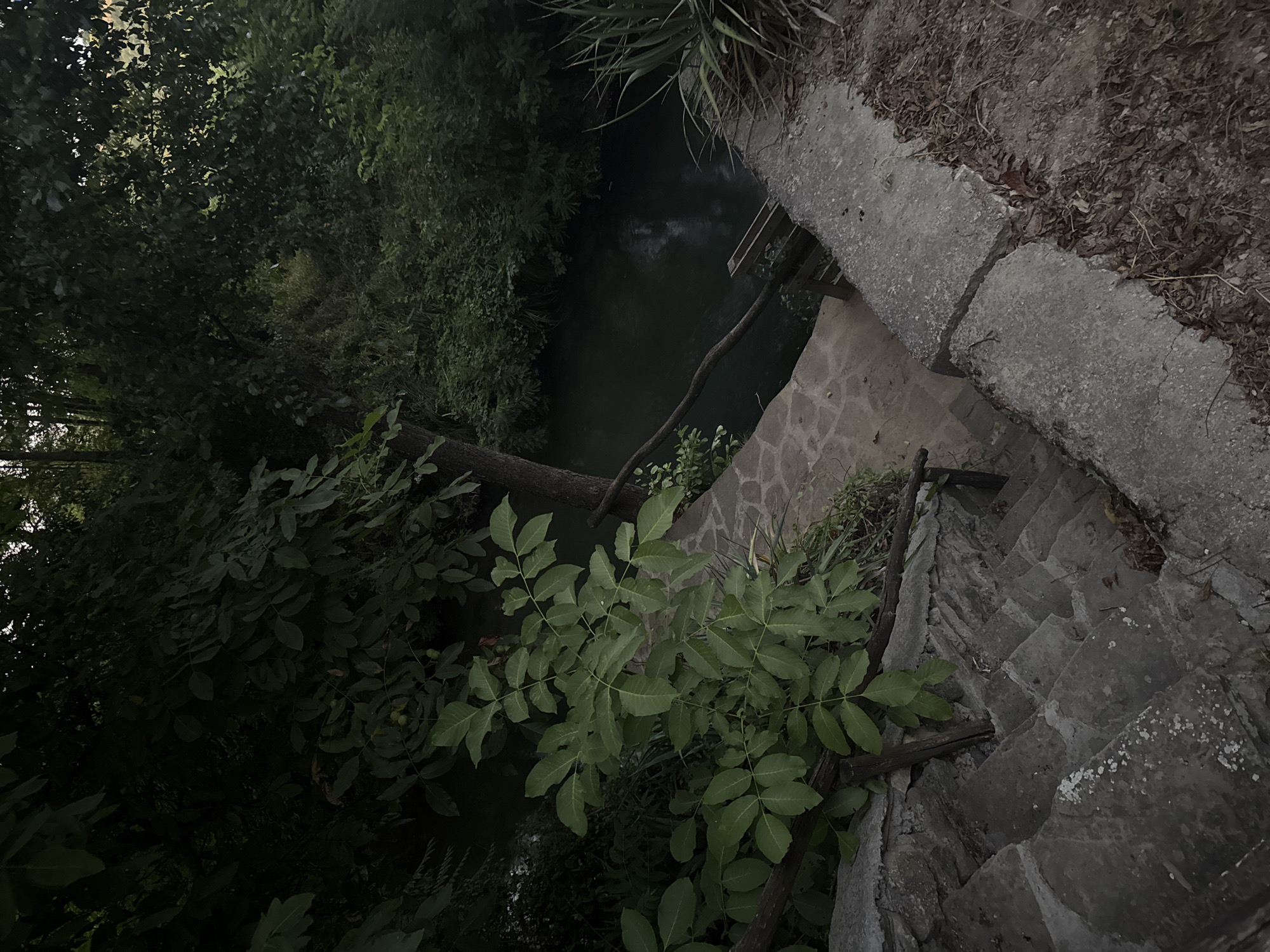 The image shows a stone staircase leading down to a dark body of water surrounded by dense vegetation. The stairs appear old and weathered, with some sections cracked and uneven. A wooden handrail runs along the side of the stairs. At the bottom of the stairs, there is a paved area with a wooden structure that might be part of a dock or a small bridge. The water is calm and reflects the surrounding trees and sky. The overall impression is one of a natural, somewhat overgrown setting. There are no people visible in the image. The location is identified as being in the city of Petrevene, Bulgaria.